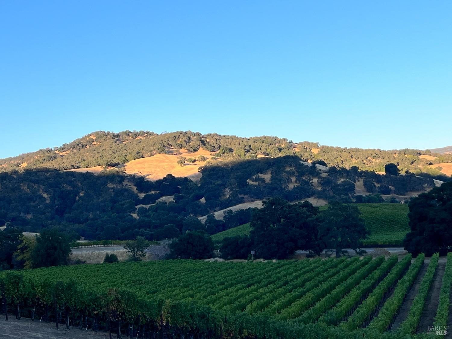 Napa, California, 94558, United States, 3 Bedrooms Bedrooms, ,3 BathroomsBathrooms,Residential,For Sale,1991897