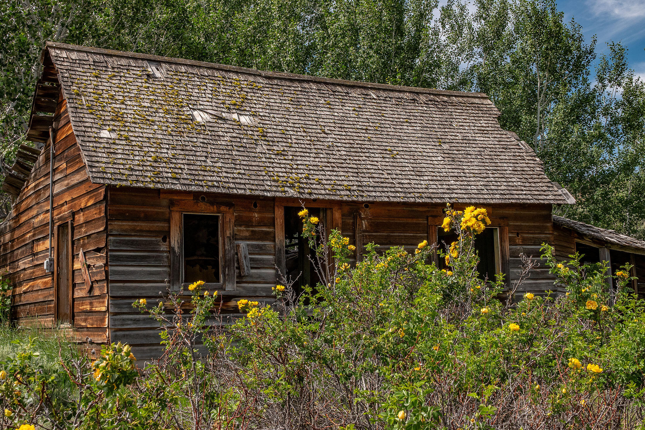 Tl 3700 Suplee Highway, Paulina, Oregon, 97751, United States, ,Land,For Sale,Tl 3700 Suplee Highway,1511106