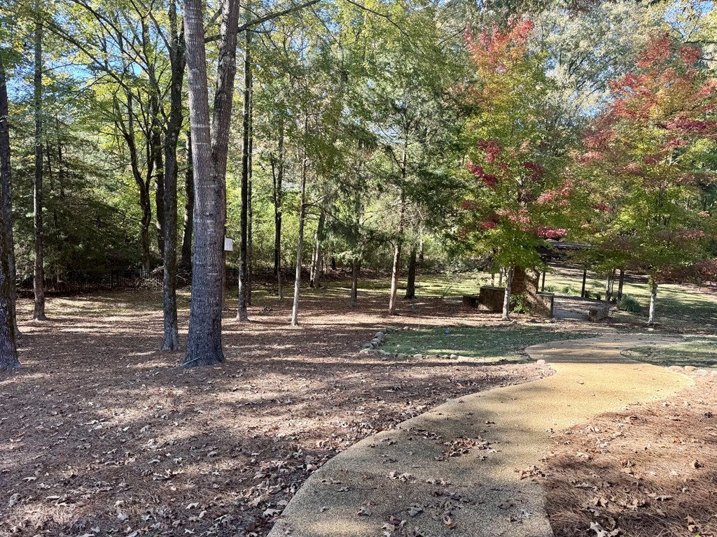OXFORD, Mississippi, 38655, United States, 6 Bedrooms Bedrooms, ,4 BathroomsBathrooms,Residential,For Sale,1991856