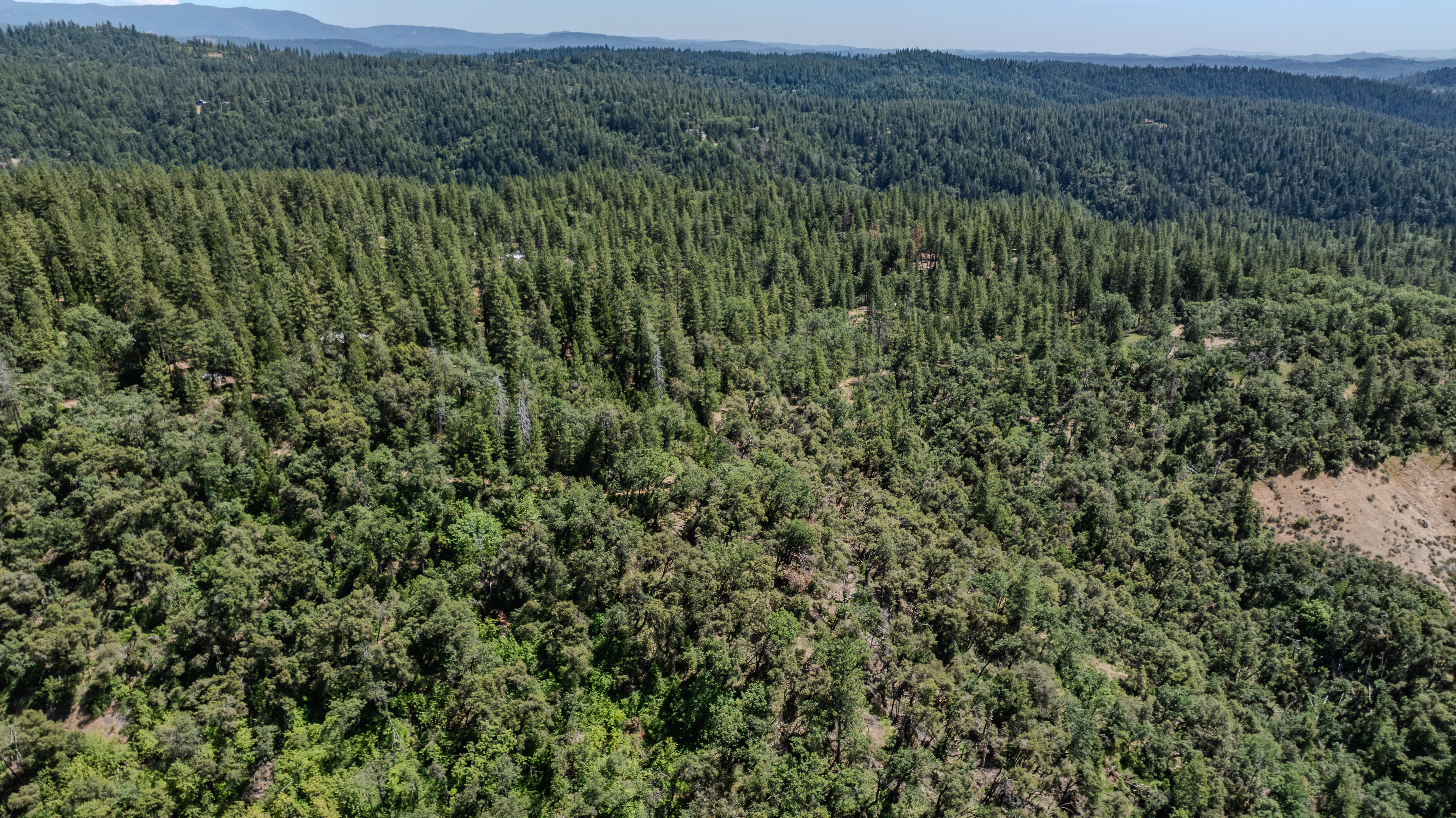  24100 Canterbury Road, Pioneer, CA 95666 - 物件實景