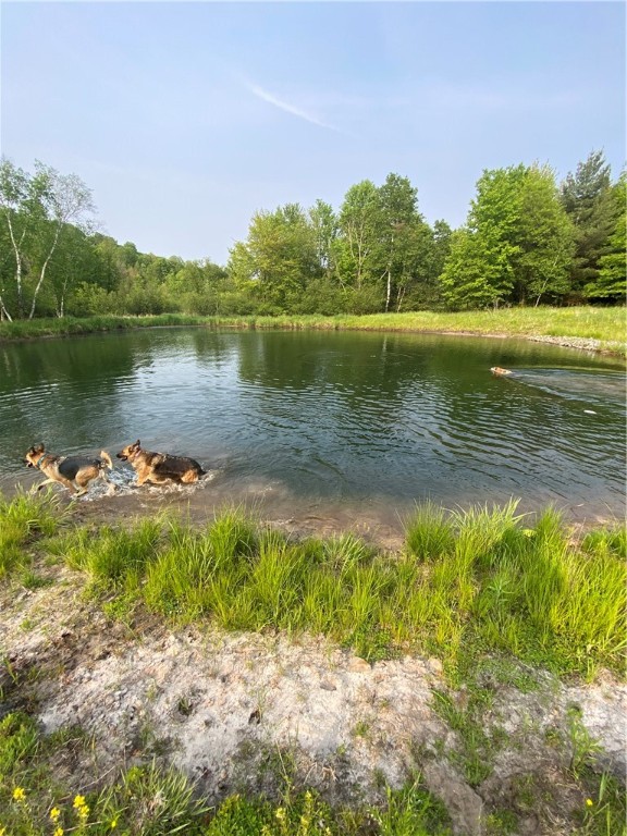 Fairchild, Wisconsin, 54741, United States, ,Residential,For Sale,1921830