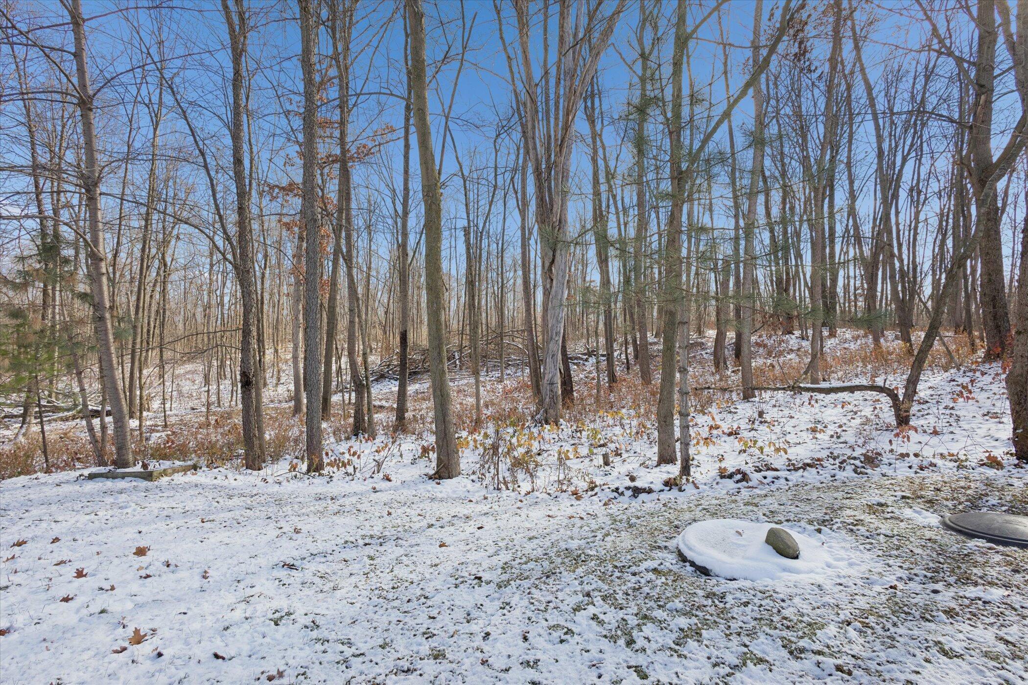 Addison, Michigan, 49220, United States, 4 Bedrooms Bedrooms, ,2 BathroomsBathrooms,Residential,For Sale,2000711