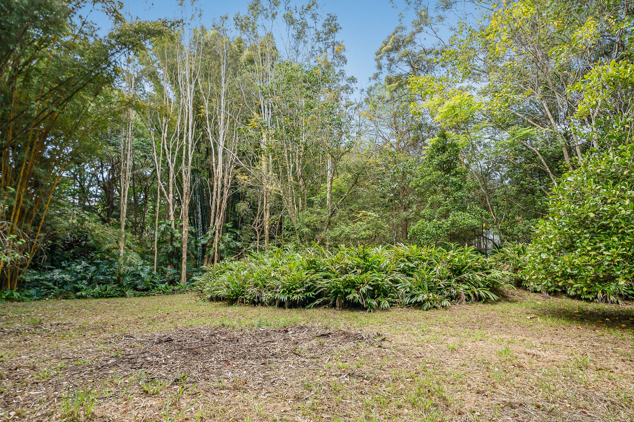  19 Taylors Lane, Ewingsdale - 物件實景