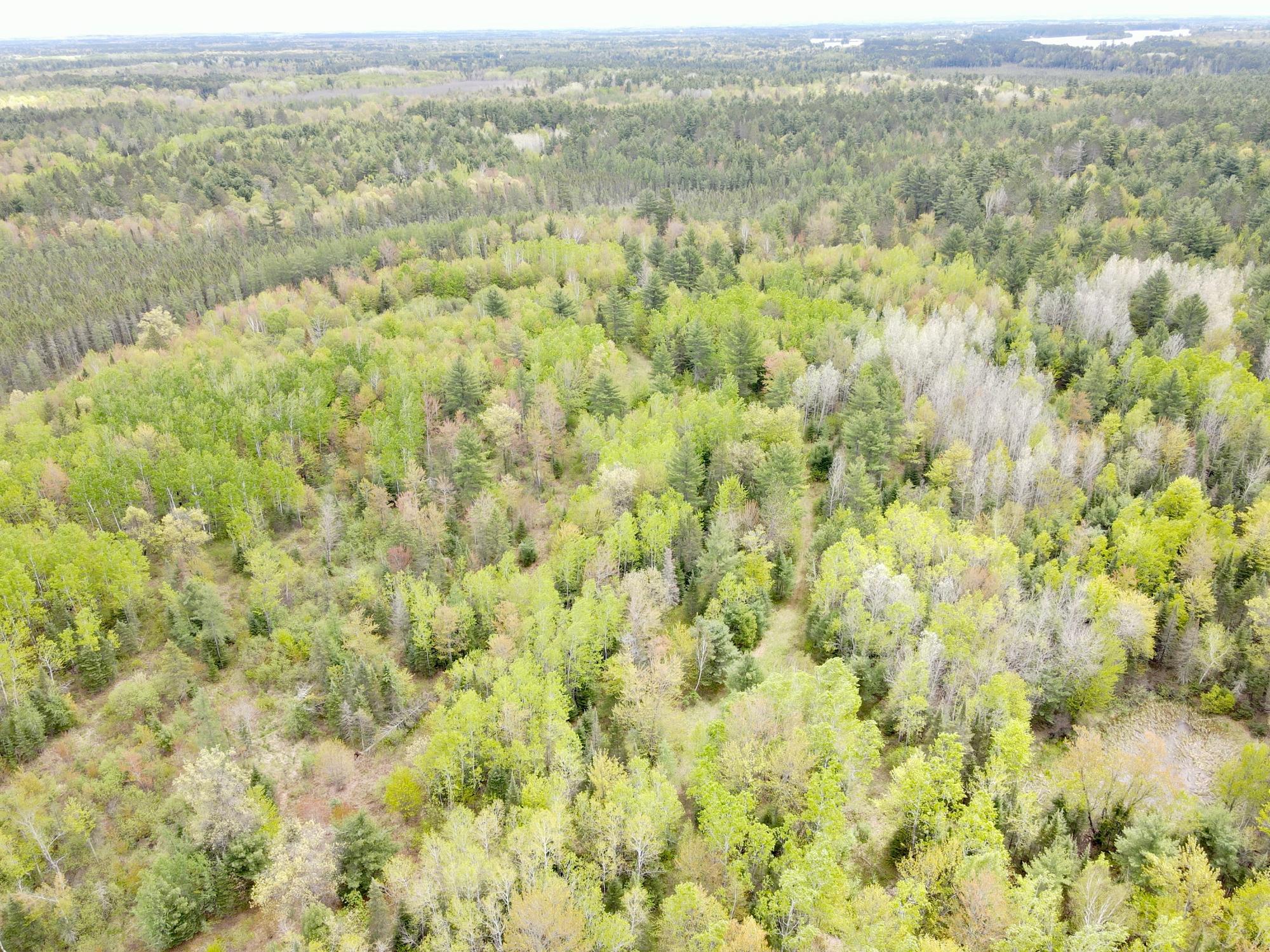 Tomahawk, Wisconsin, 54487, United States, 2 Bedrooms Bedrooms, ,2 BathroomsBathrooms,Residential,For Sale,1923926