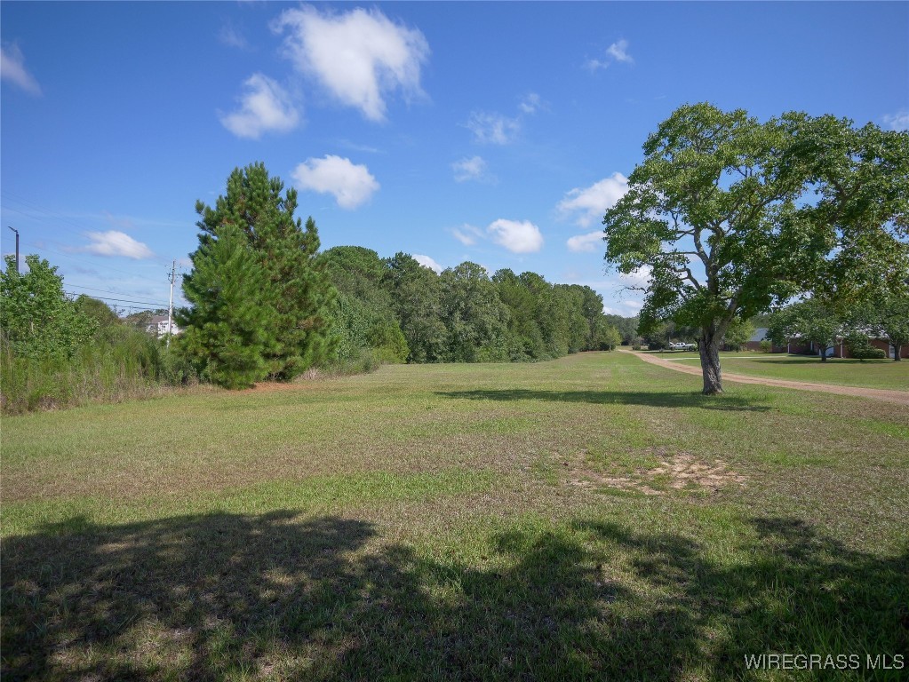 Enterprise, Alabama, 36330, United States, ,Land,For Sale,1981048