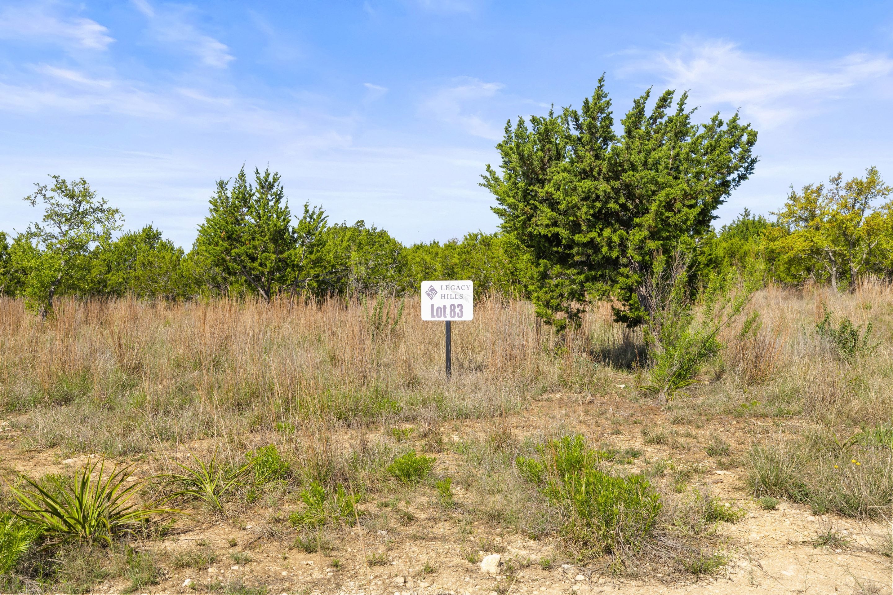  83 S Flat Rock Way - 5 Acre Lot in Gated Legacy Hills - 物件實景