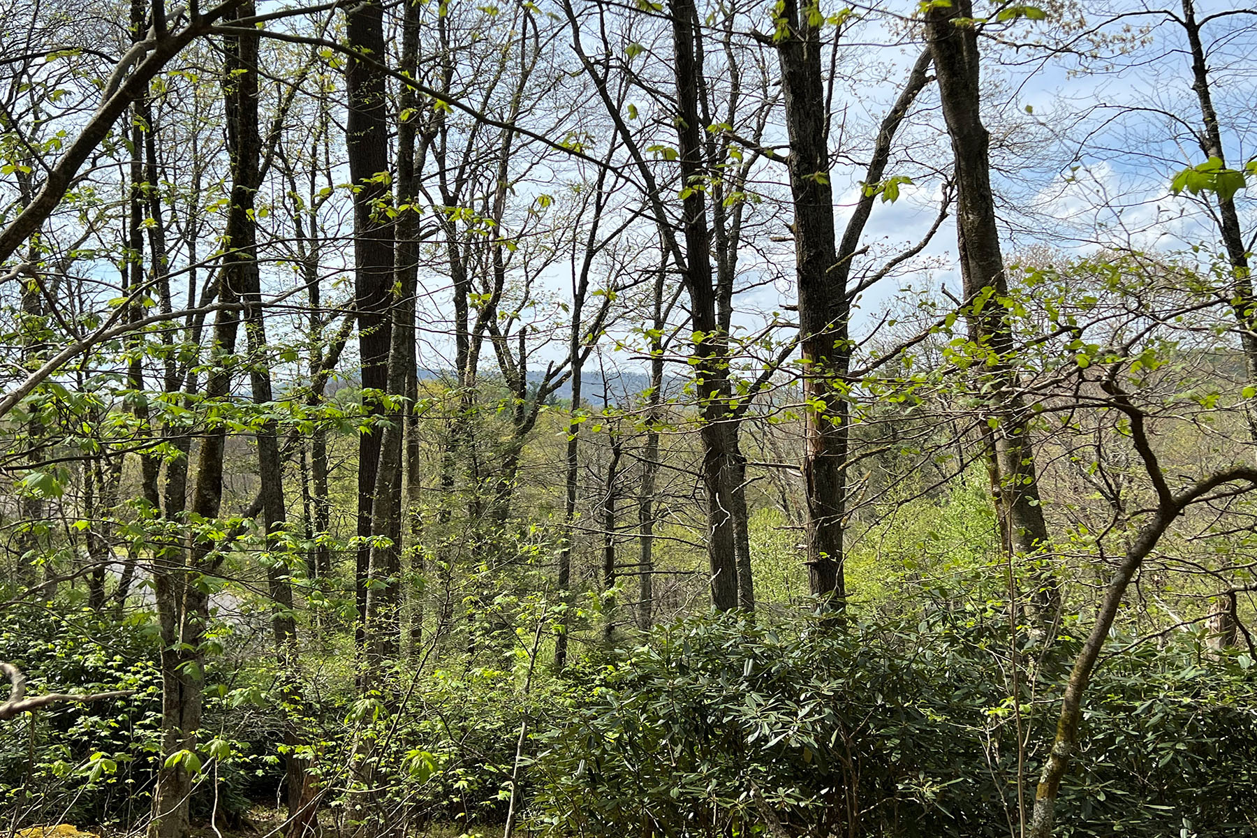  PARKWAY CROSSING - BLOWING ROCK - 物件實景