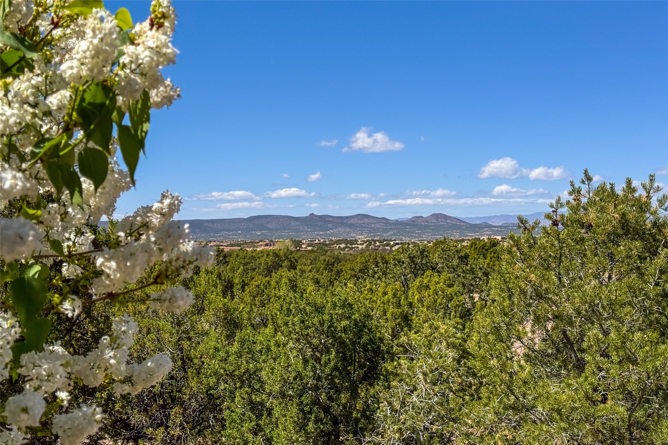  5 Sky Show - 物件實景