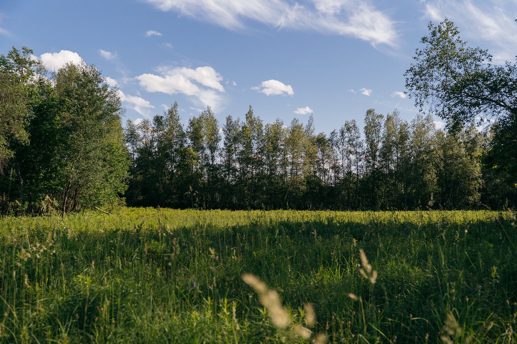  Sutton, Eastern Townships - 物件實景