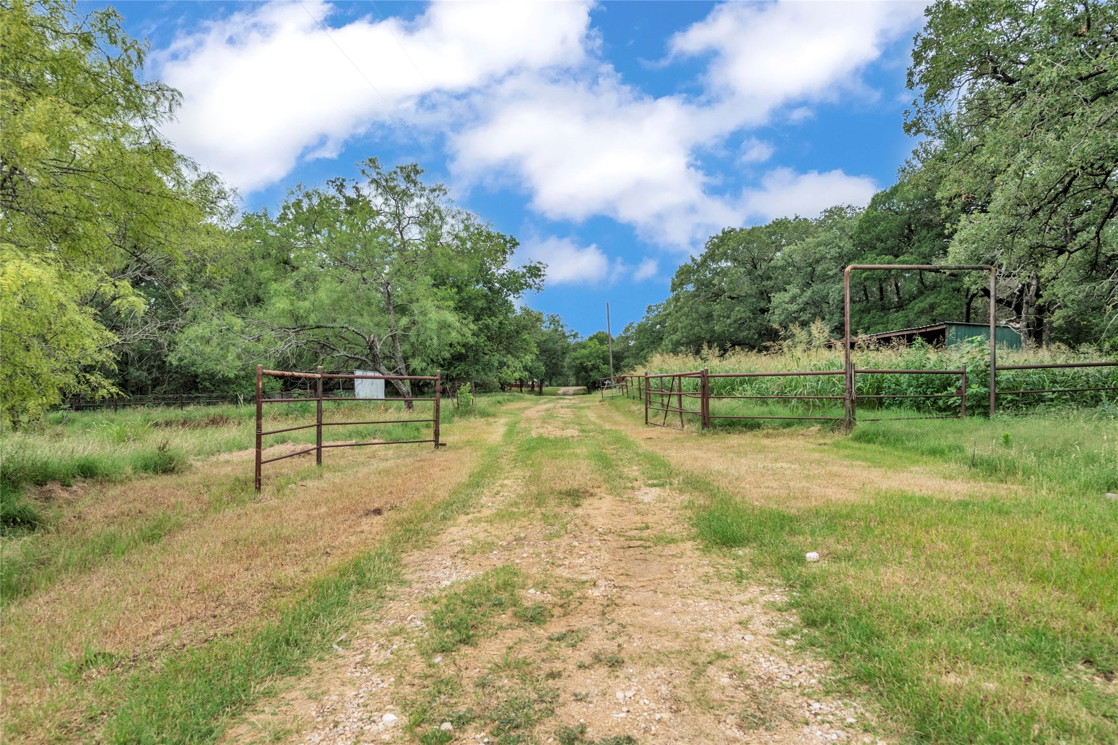 Waco, Texas, 76705, United States, 4 Bedrooms Bedrooms, ,2 BathroomsBathrooms,Residential,For Sale,1960716