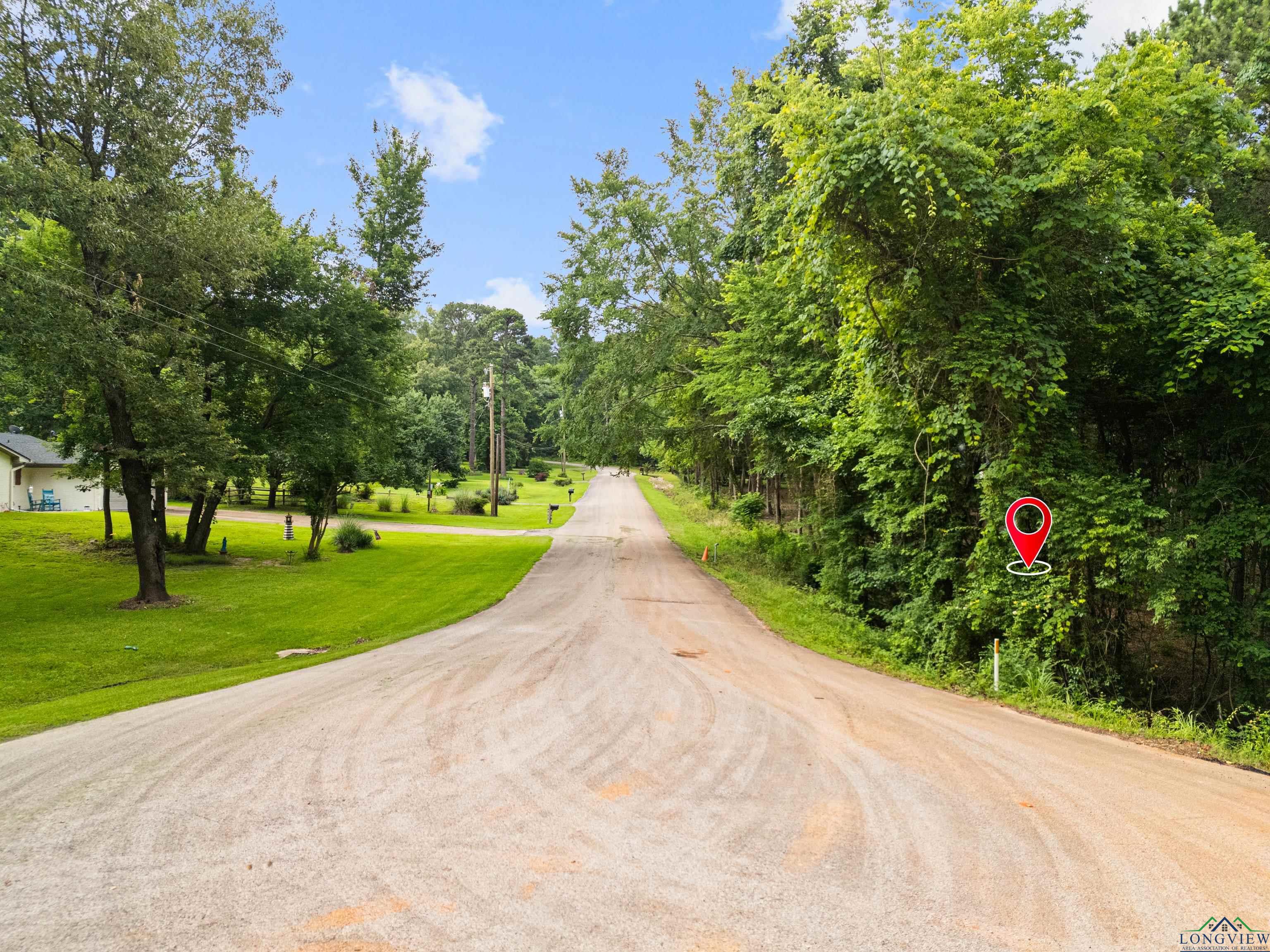 Longview, Texas, 75605, United States, ,Land,For Sale,1846735