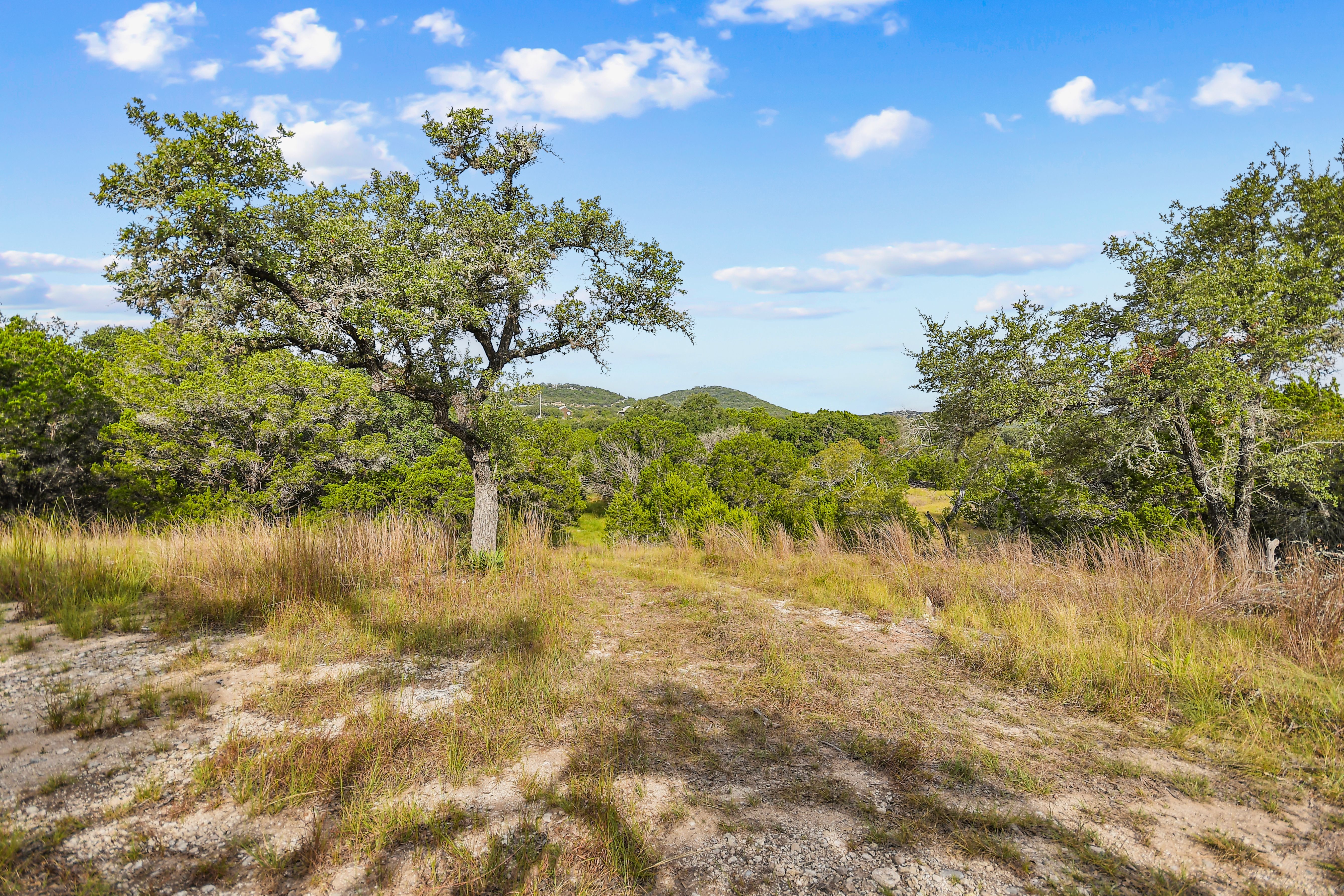  TBD Hwy 46 / Madrona Ranch Road, Pipe Creek, TX 78063 - 物件實景