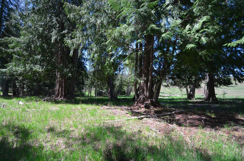 Sagle, Idaho, 83860, United States, ,Land,For Sale,1980438