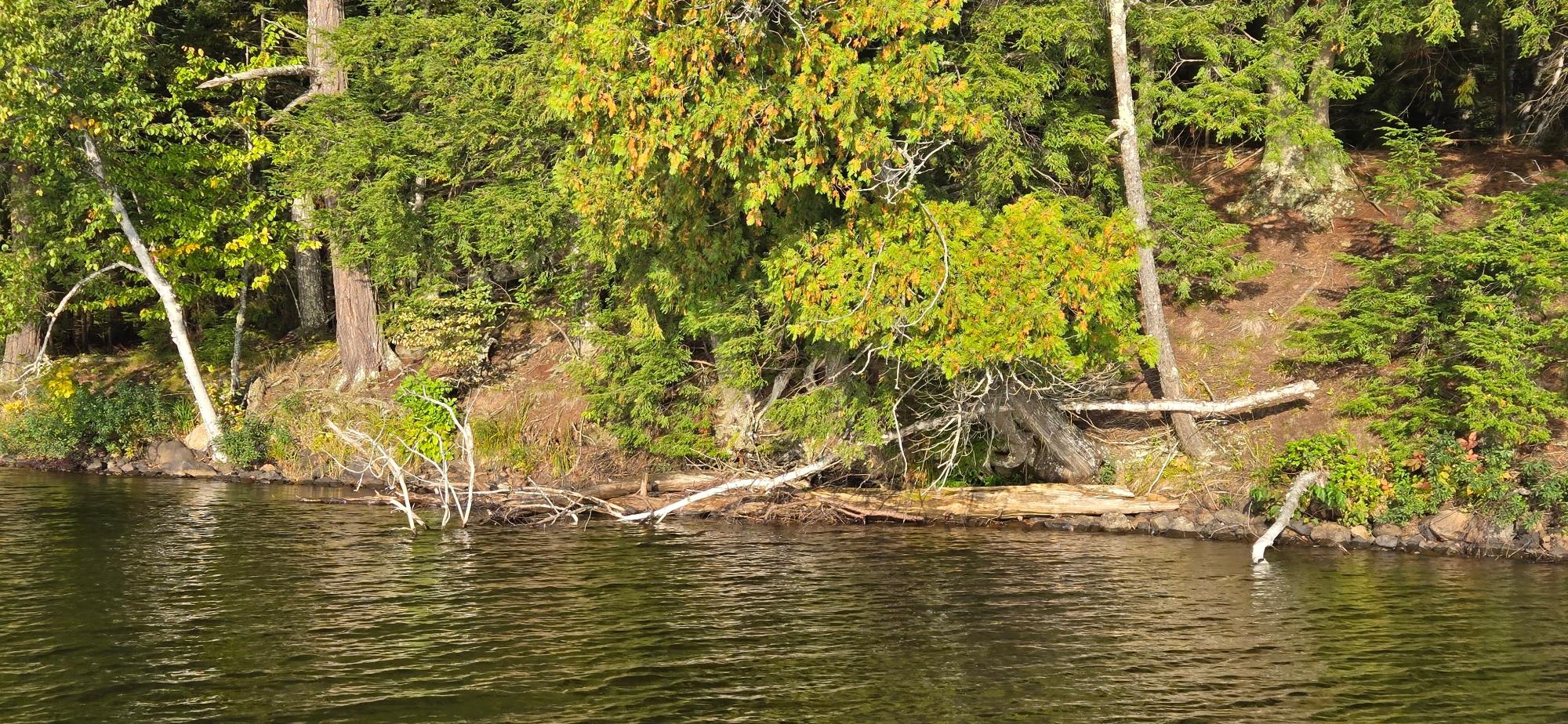 Presque Isle, Wisconsin, 54557, United States, ,Land,For Sale,1984076