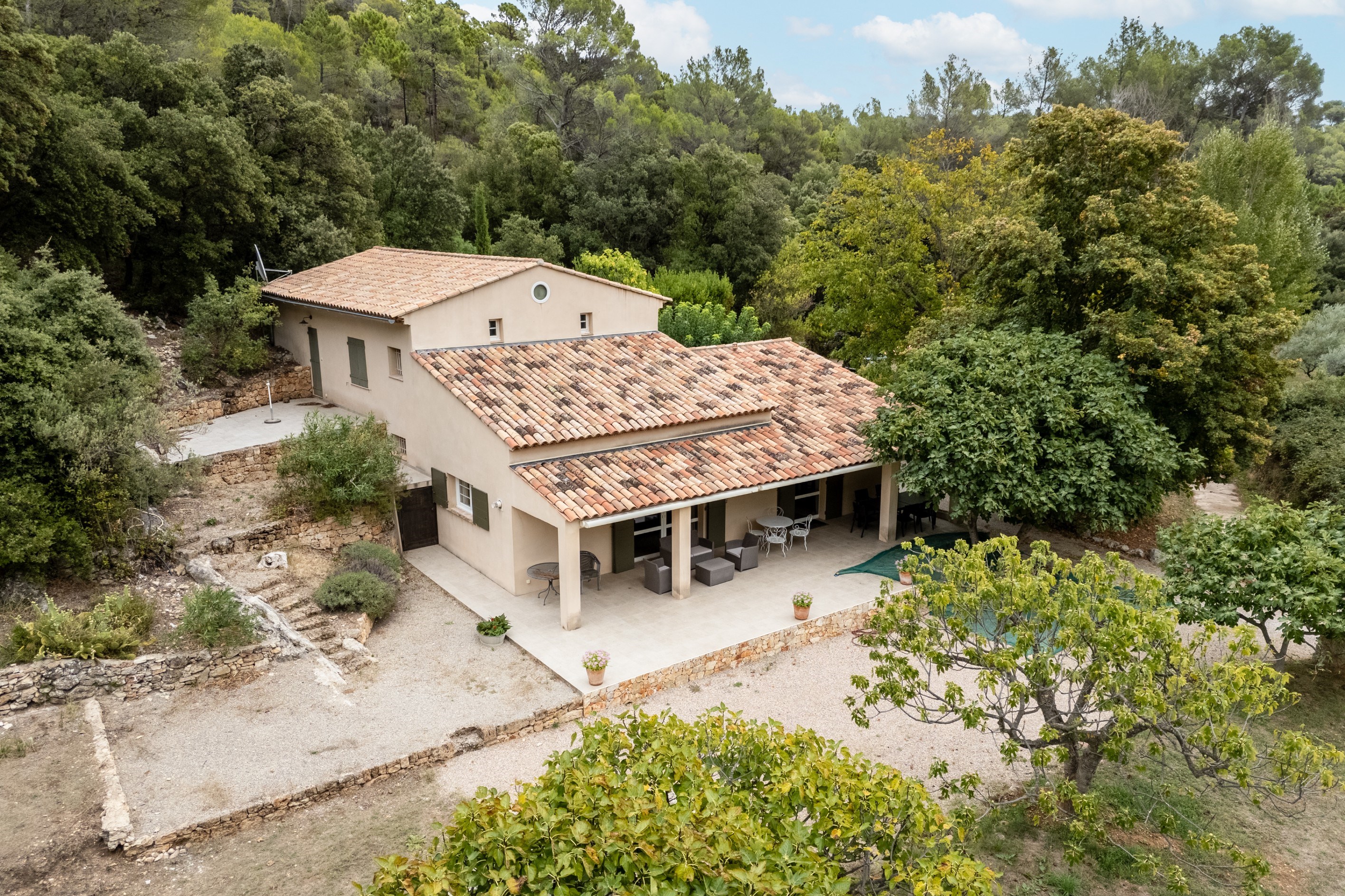  Prestigious Estate with Olive Grove - 物件實景