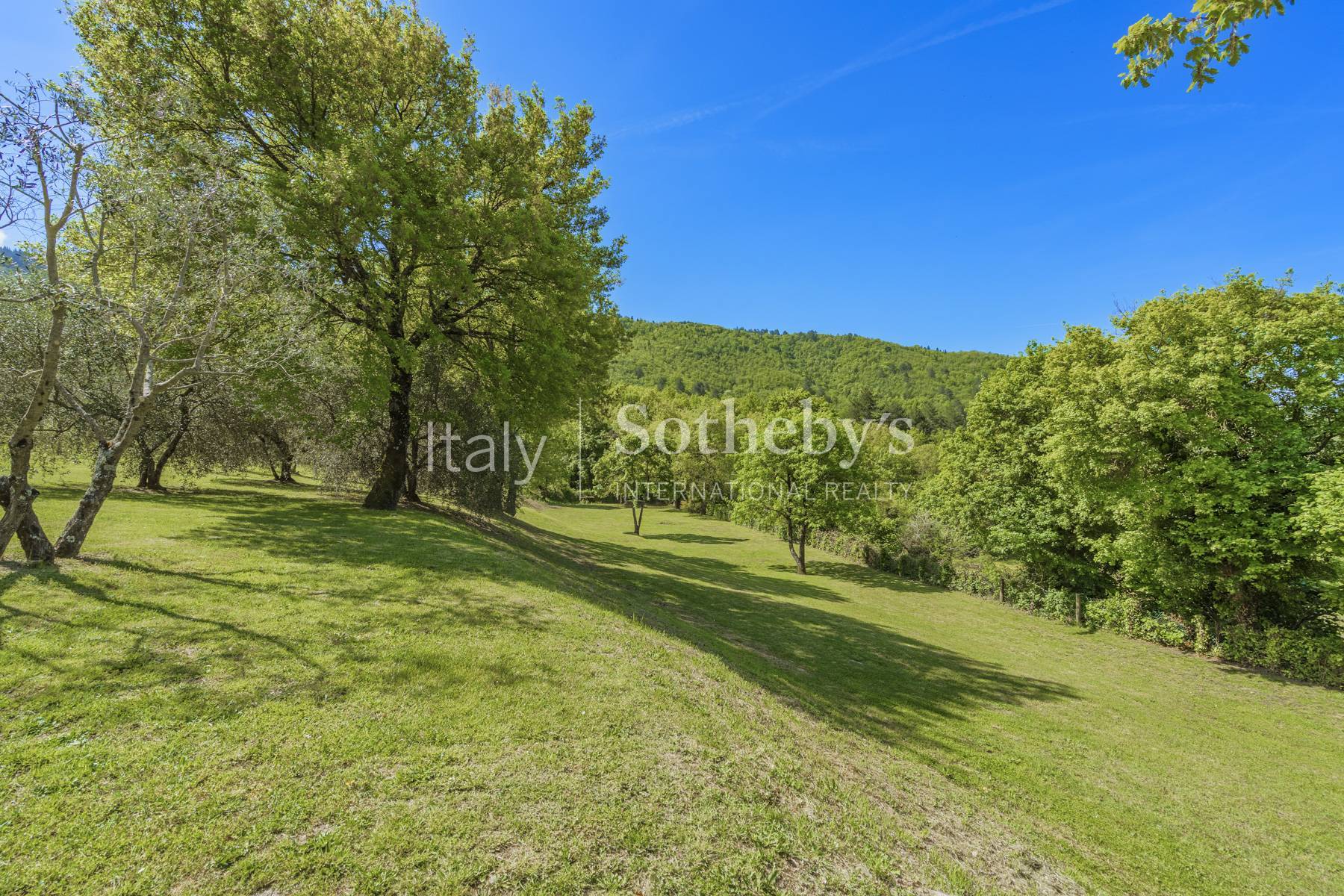  Renovated farmhouse in the Mugello countryside - 物件實景