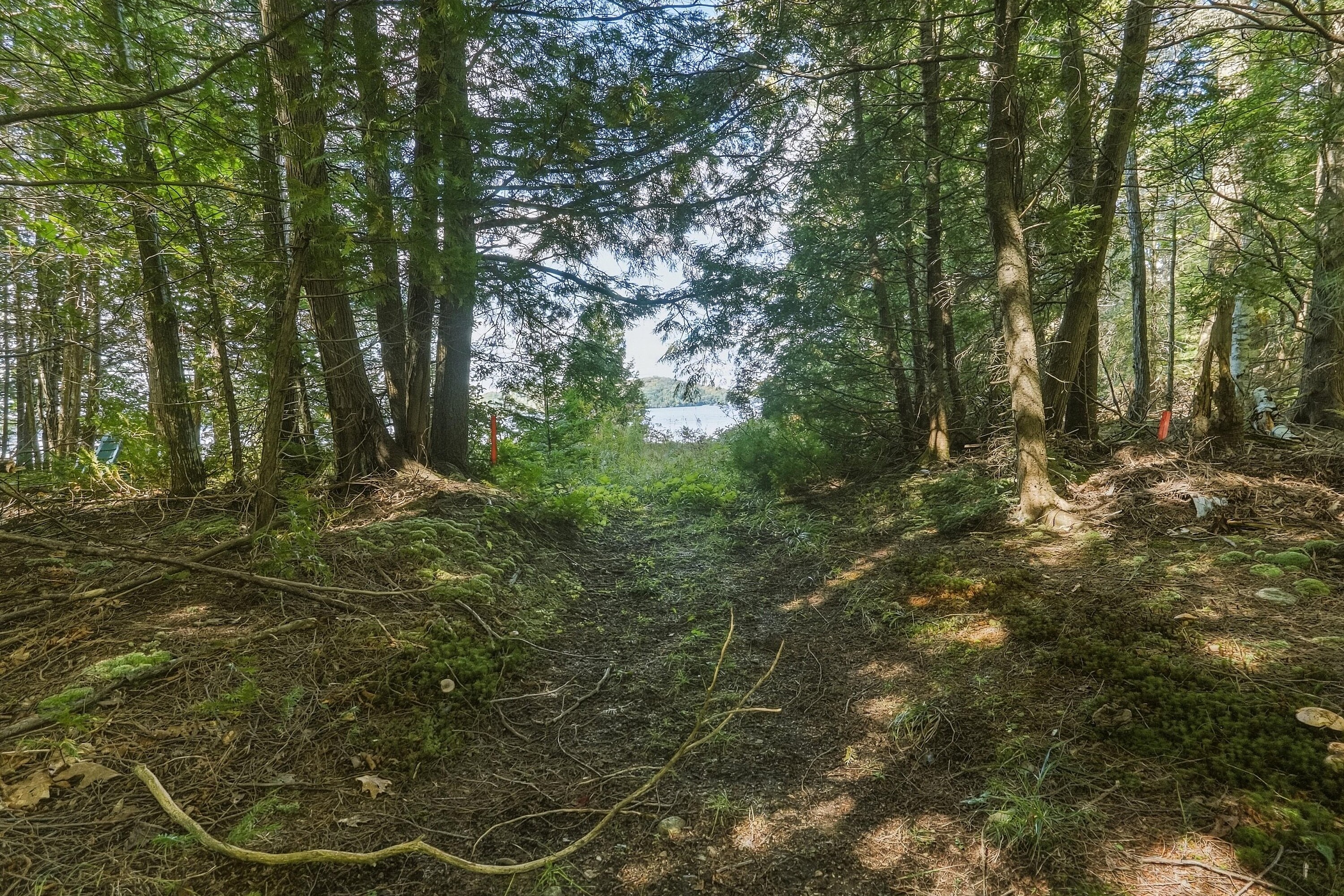  Beautiful Bayview Acres - 物件實景
