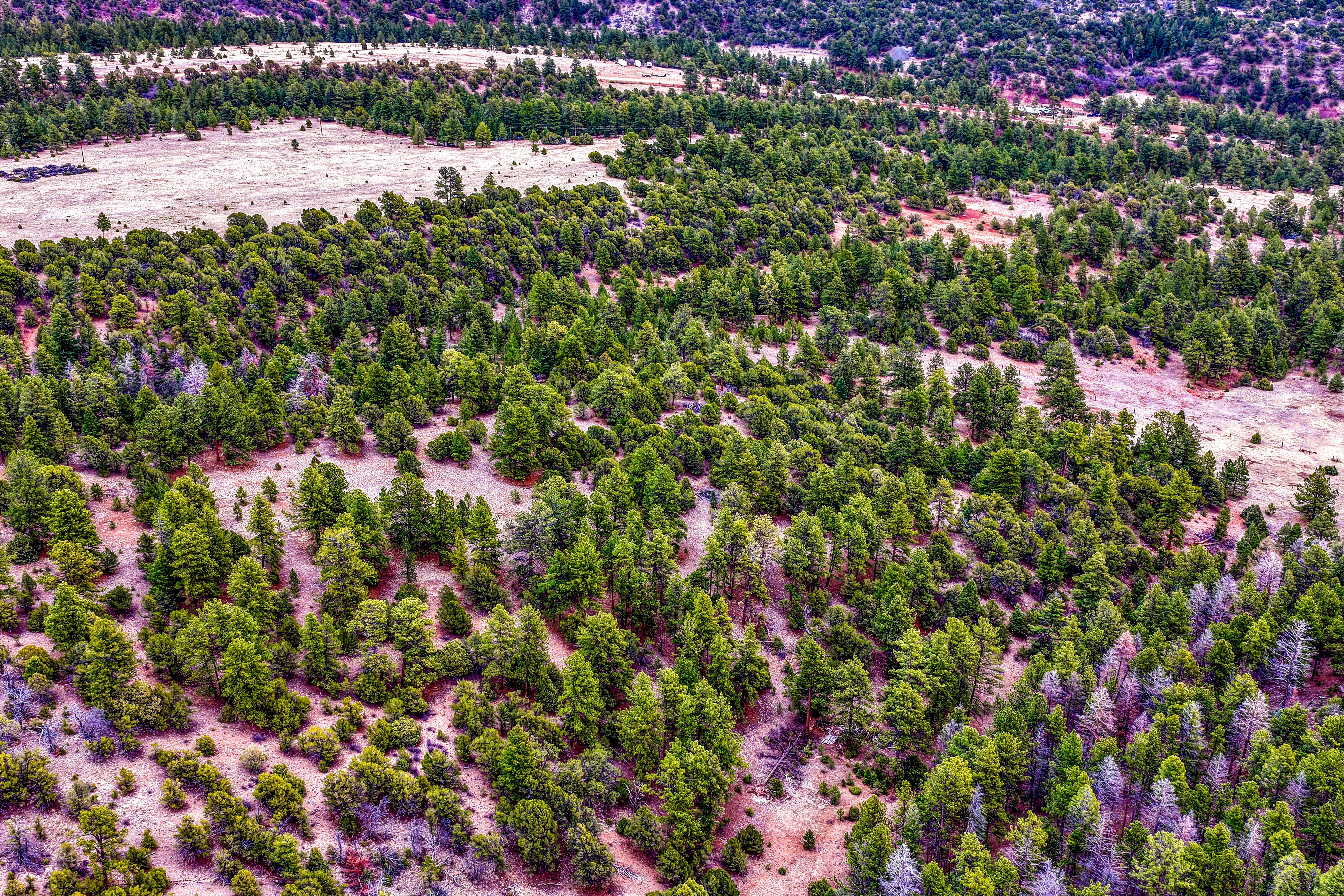  Spectacular 119 acre ranch tucked into a scenic mountain valley - 物件實景