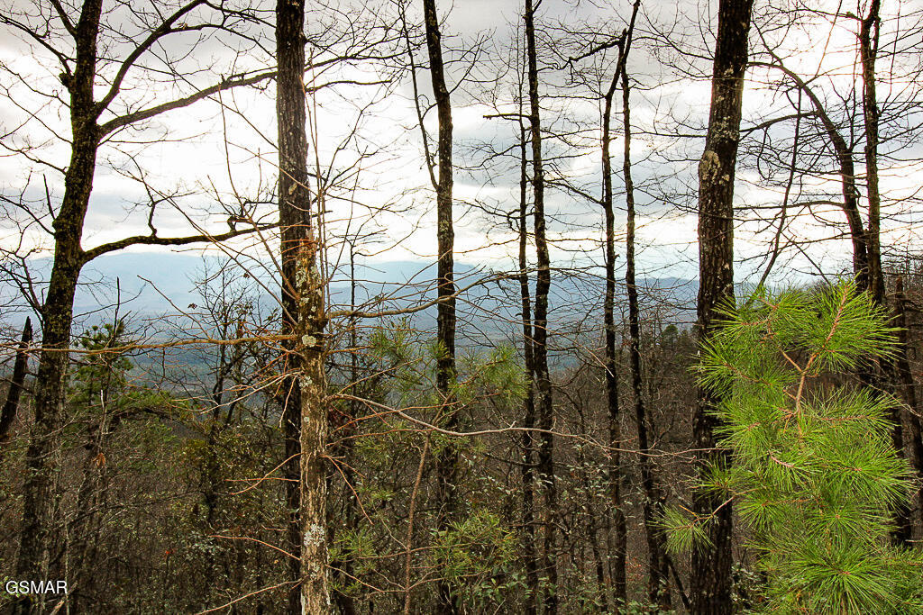 Sevierville, Tennessee, 37876, United States, ,Land,For Sale,2009102