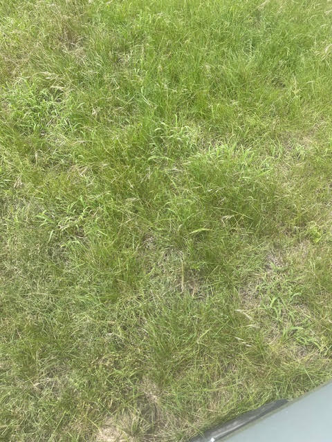 Holland, Texas, 76534, United States, ,Residential,For Sale,1994334