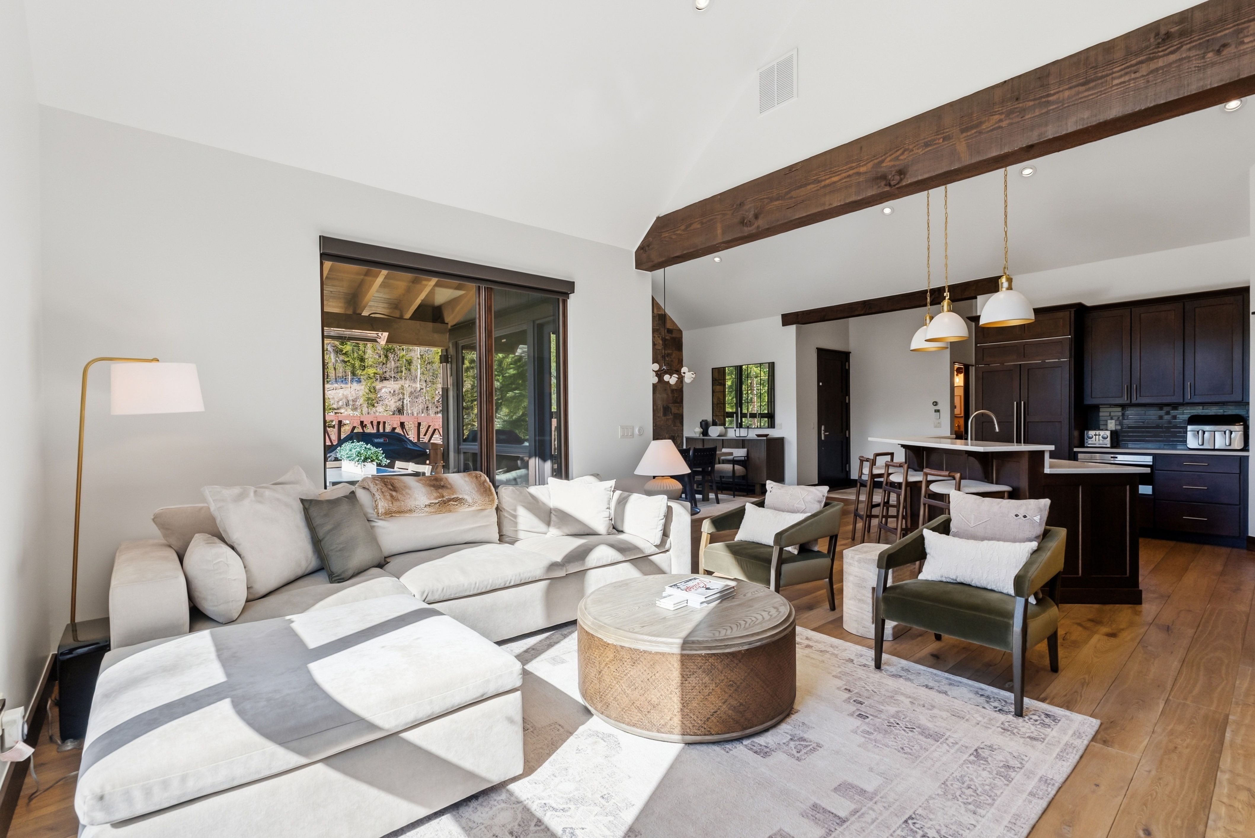  341 River Park Drive, Breckenridge, CO, 80424 - 物件實景