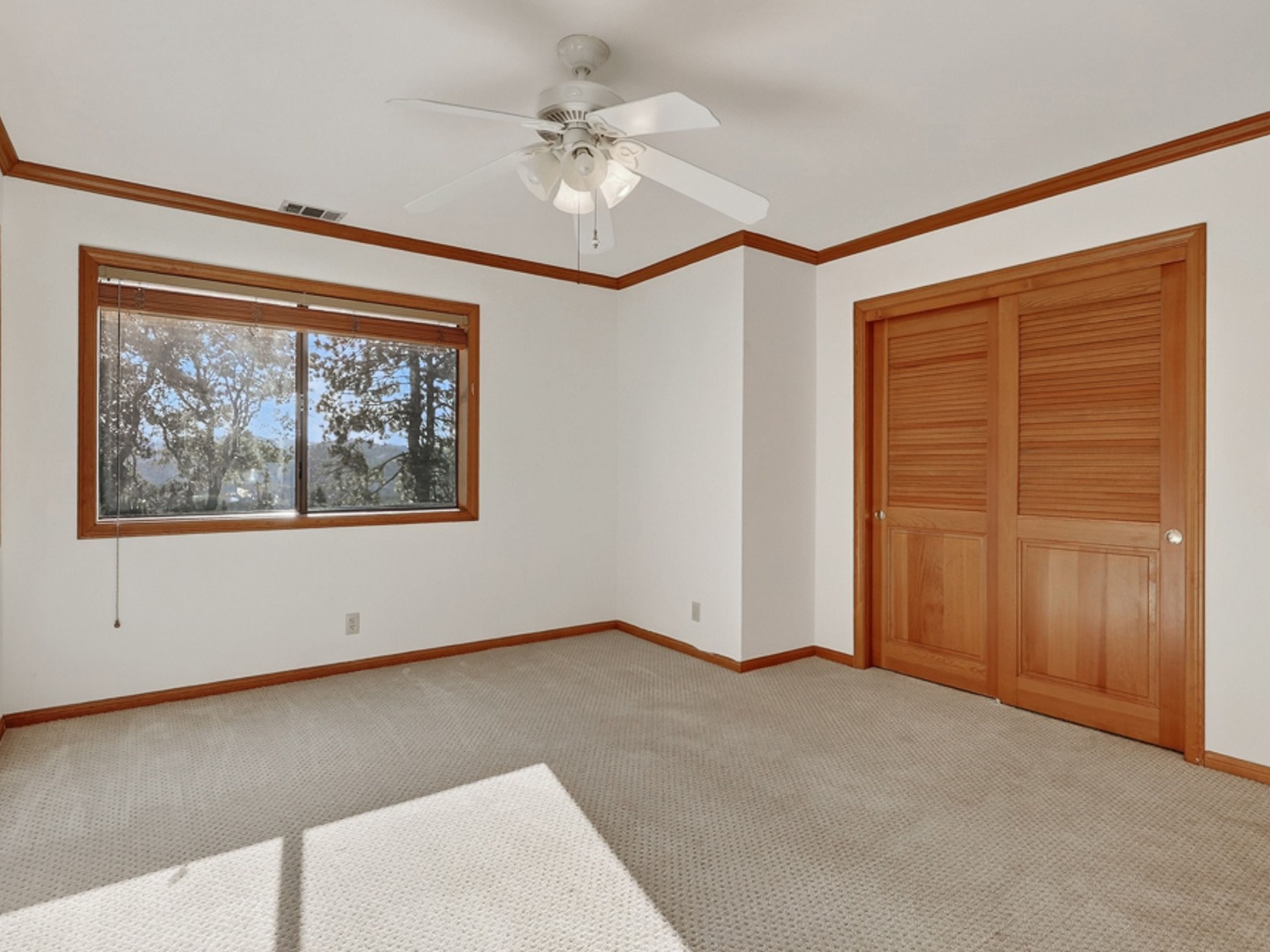  229 Shasta Drive, Lake Arrowhead, CA 92352 - 物件實景