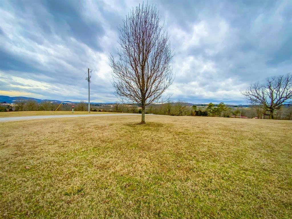 Omaha, Arkansas, 72662, United States, 4 Bedrooms Bedrooms, ,4 BathroomsBathrooms,Residential,For Sale,1922078
