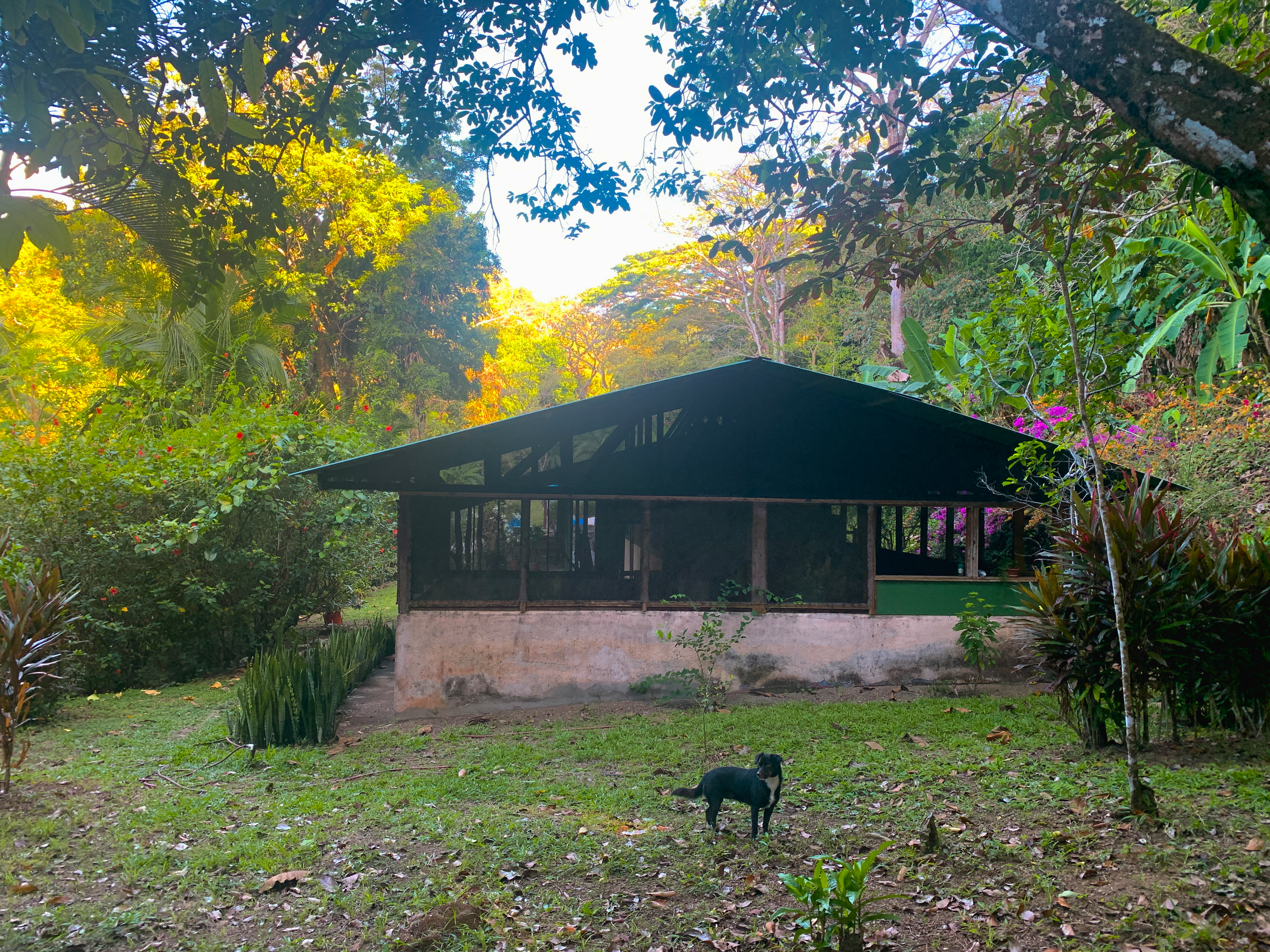 Osa Peninsula, Carate, Cabo Matapalo, Puntarenas, CR, ,Land,For Sale,Osa Peninsula, Carate,1585857