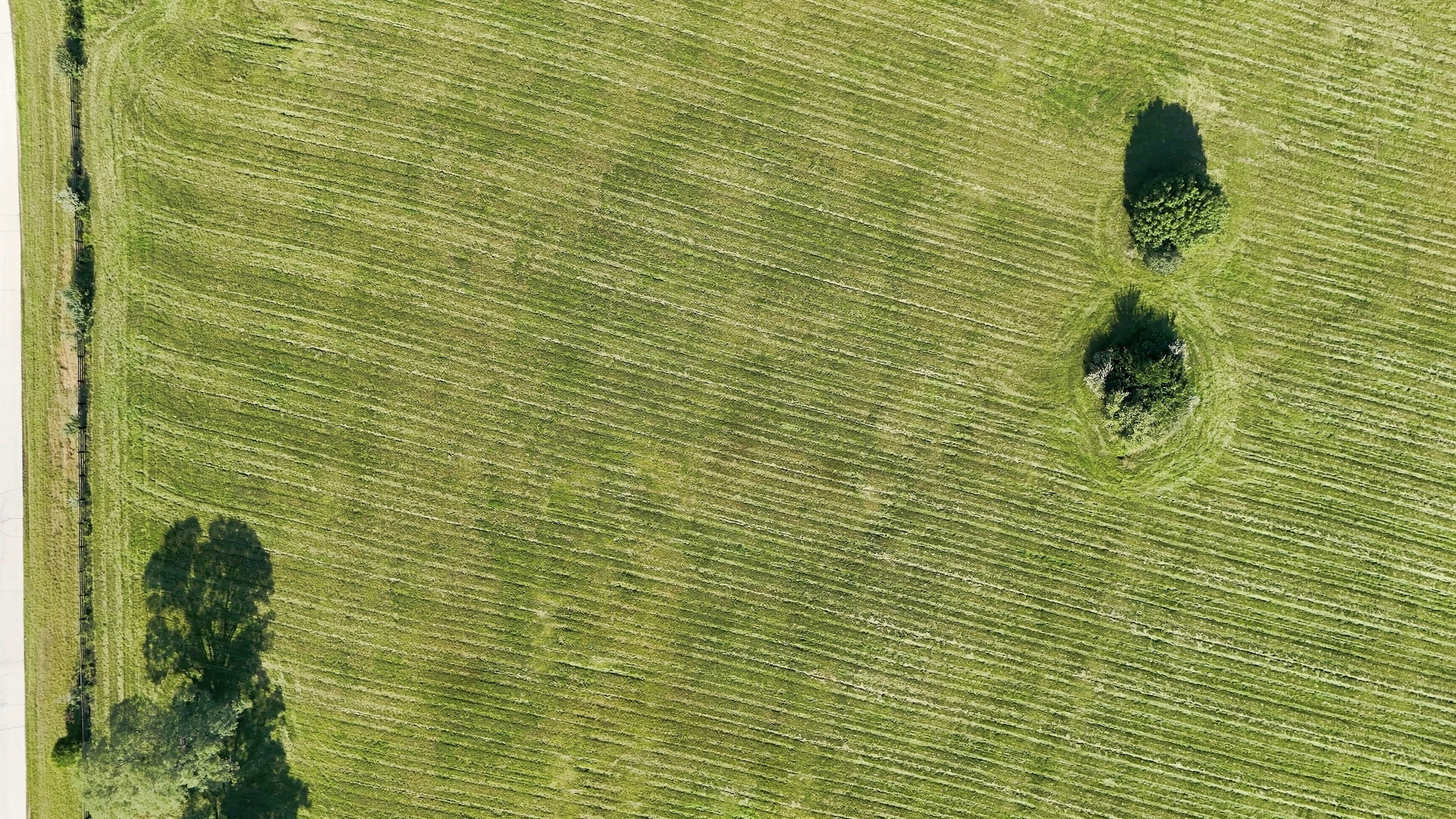  Tract 2 Ballard School Road, La Grange, KY 40031 - 物件實景