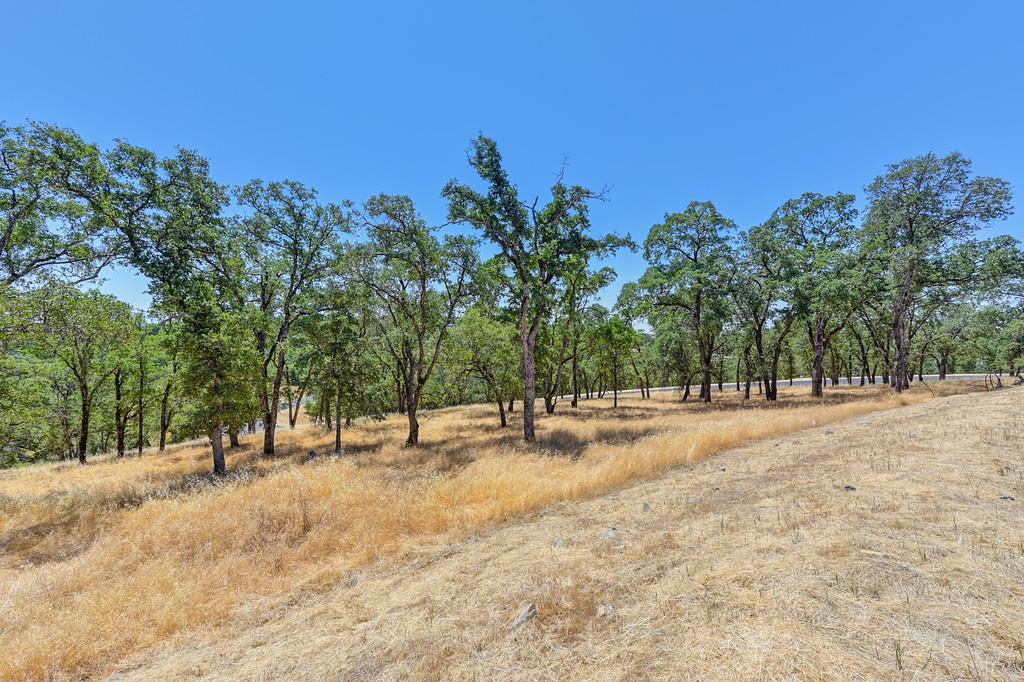 El Dorado Hills, California, 95762, United States, ,Land,For Sale,1874458