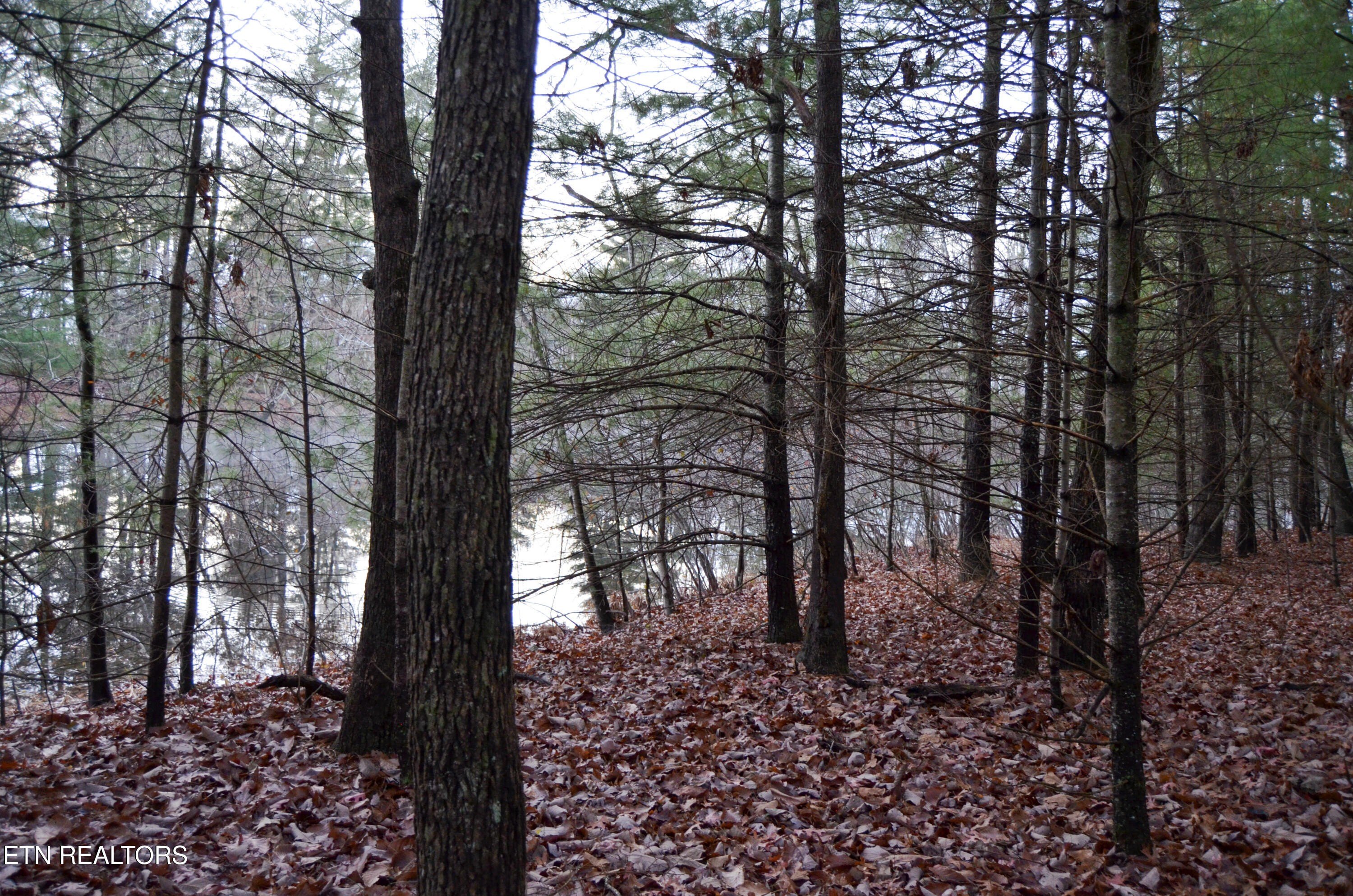 Crossville, Tennessee, 38555, United States, ,Land,For Sale,1983294