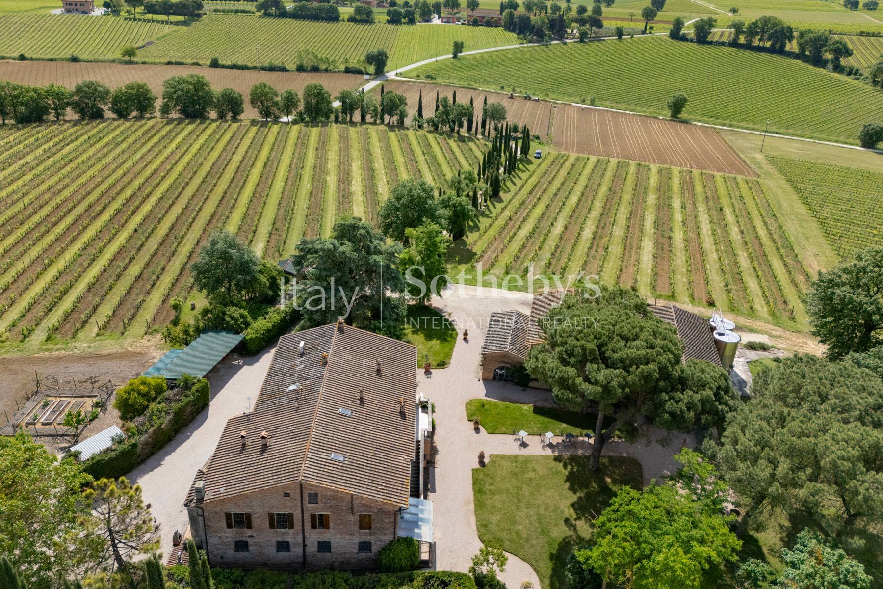  Refined wine estate with agritourism - 物件實景