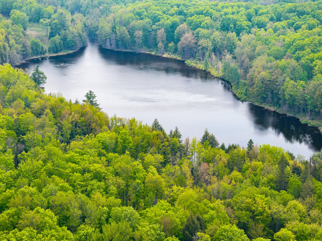 Oma, Wisconsin, 54534, United States, ,Residential,For Sale,1920346