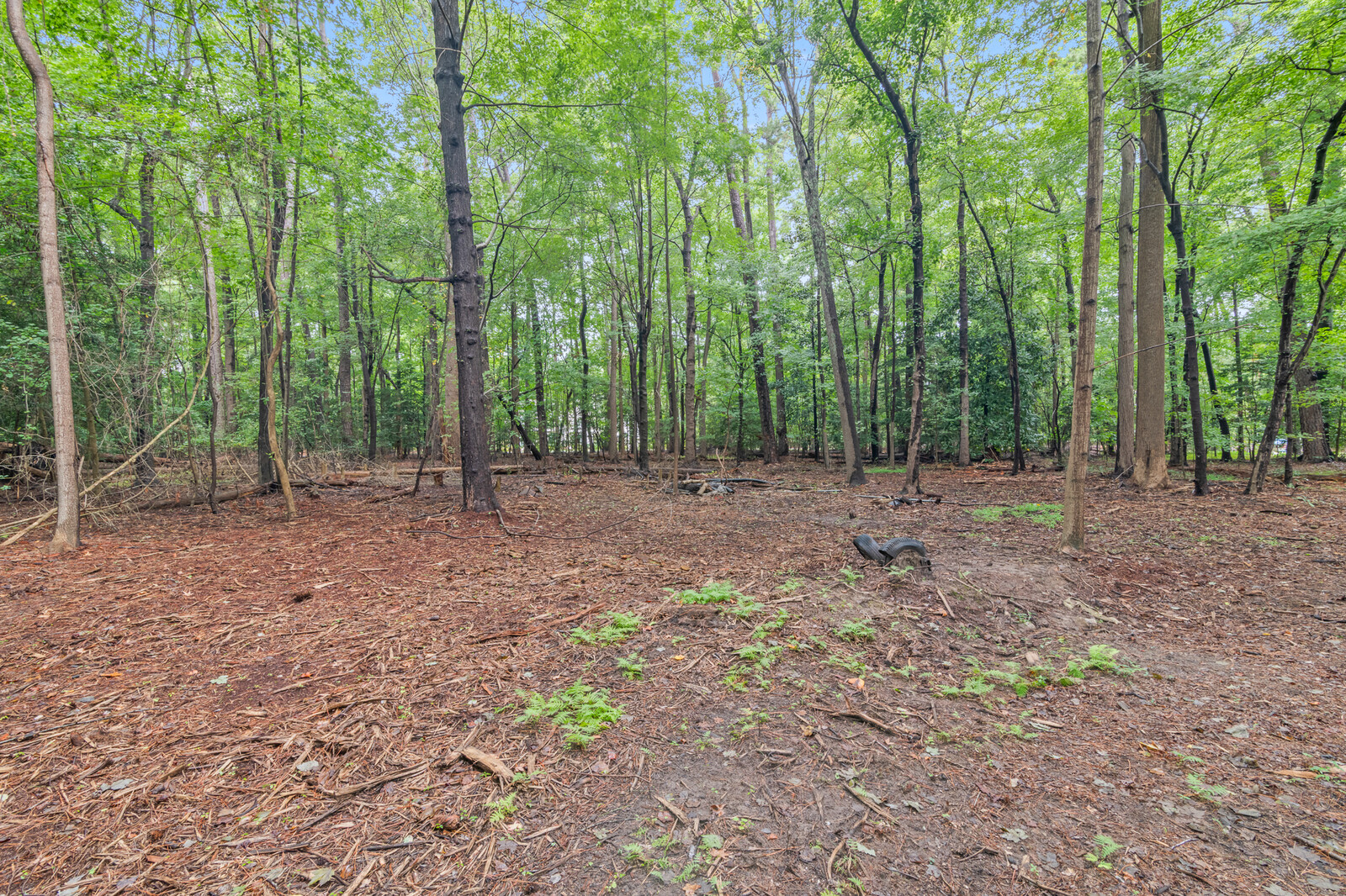 Yorktown, Virginia, 236923604, United States, 3 Bedrooms Bedrooms, ,2 BathroomsBathrooms,Residential,For Sale,1983250