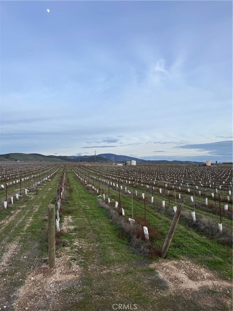 Lockwood, California, 93932, United States, ,Land,For Sale,2006086