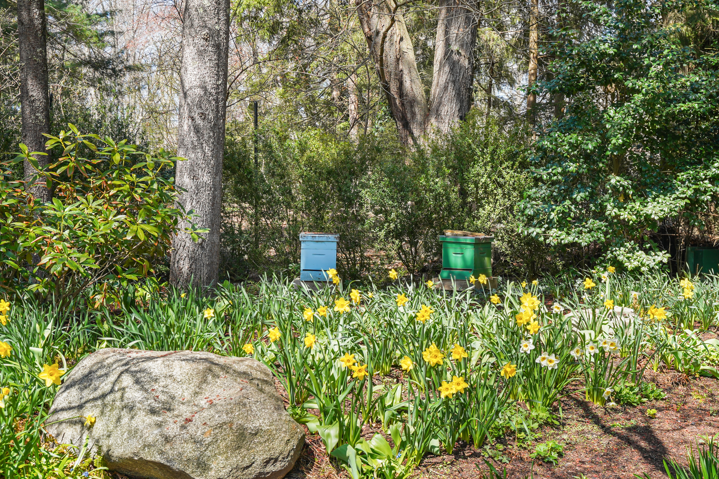  135 & 129 Zaccheus Mead Lane - 物件實景