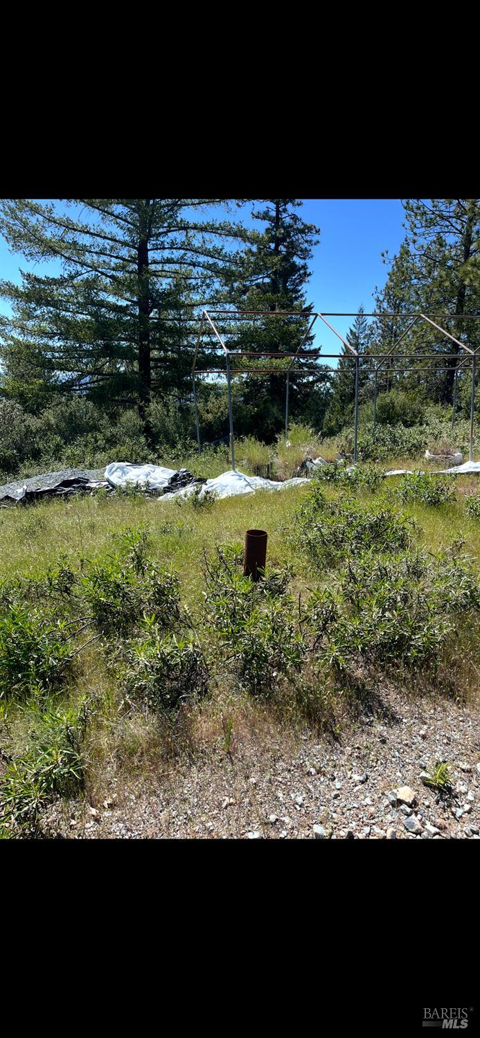 Covelo, California, 95428, United States, ,Land,For Sale,1868572