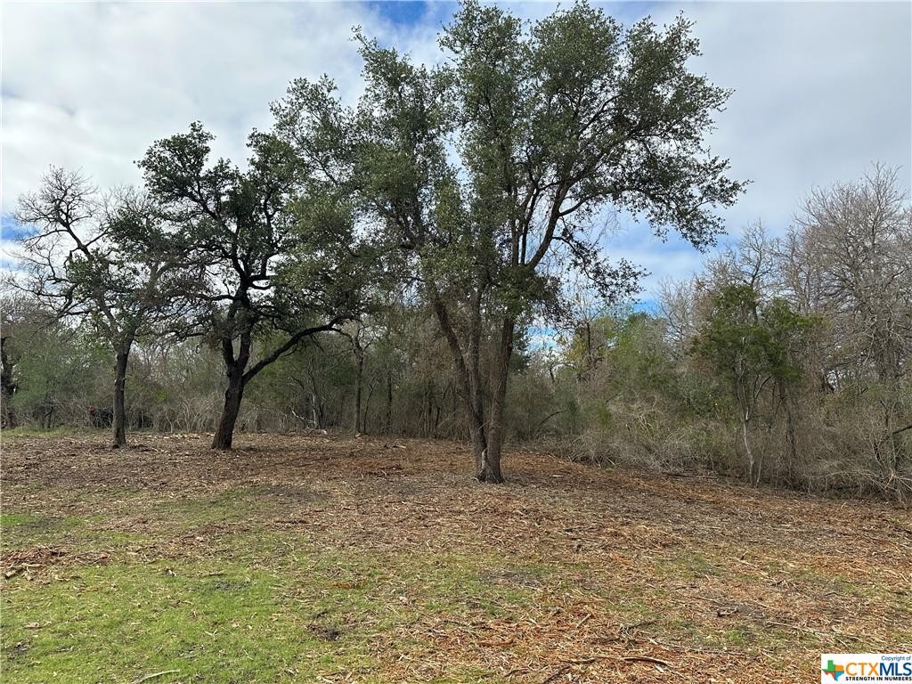 17800 E Fm 2268, Holland, Texas, 76534, United States, ,Residential,For Sale,17800 E Fm 2268,1413367
