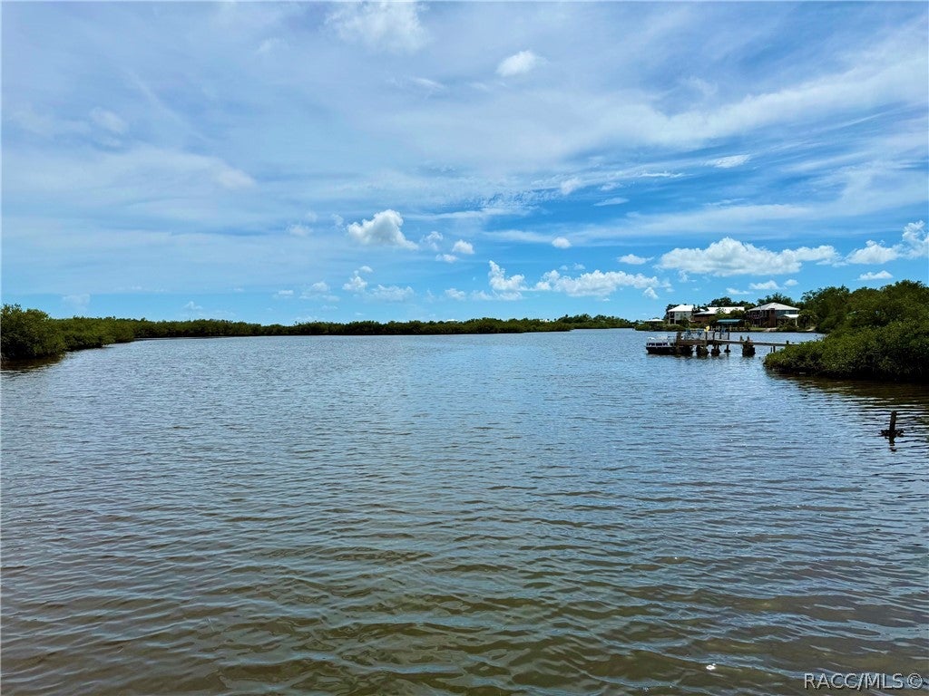 Estuary Dr, Crystal River, FL 34429
