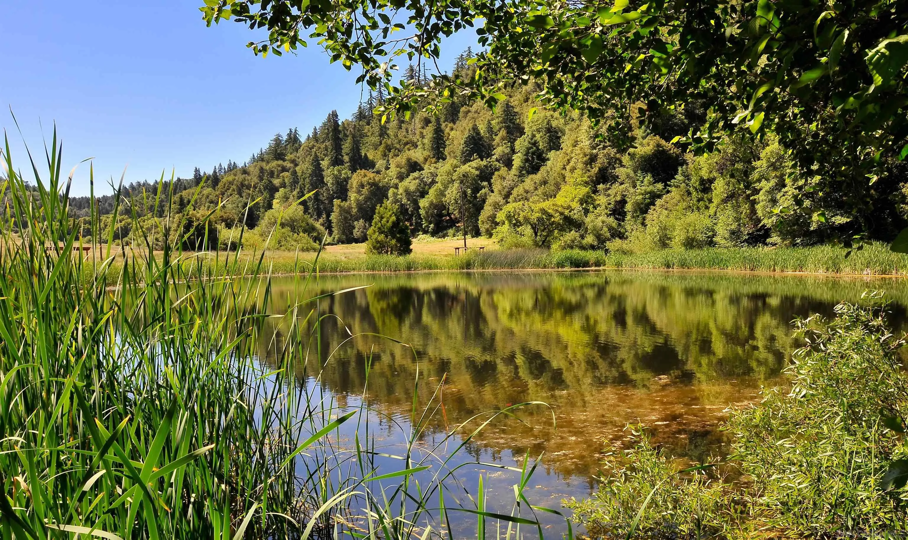 Palomar Mountain, California, 92060, United States, 1 Bedroom Bedrooms, ,1 BathroomBathrooms,Residential,For Sale,1792949