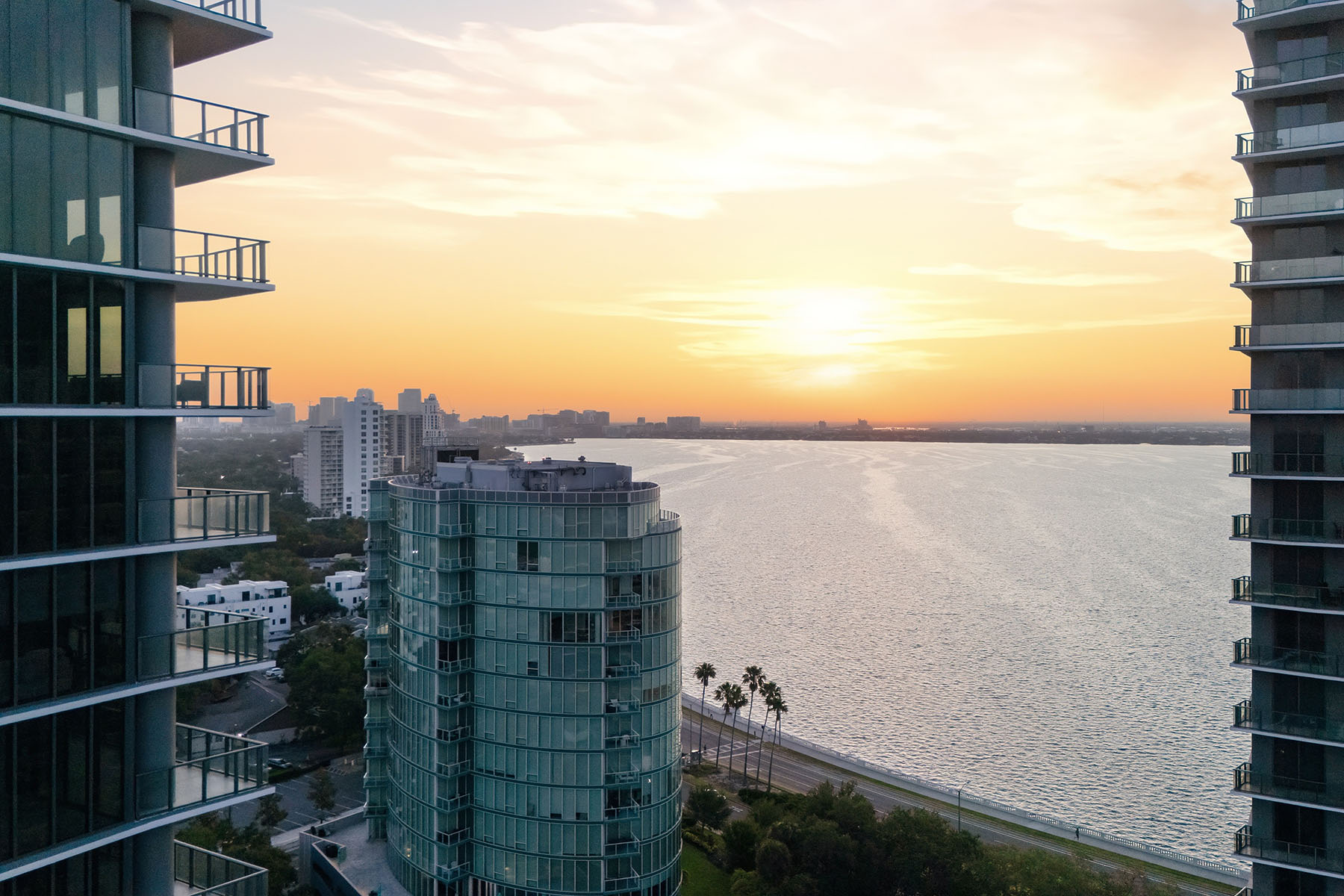  SOUTH TAMPA - 物件實景