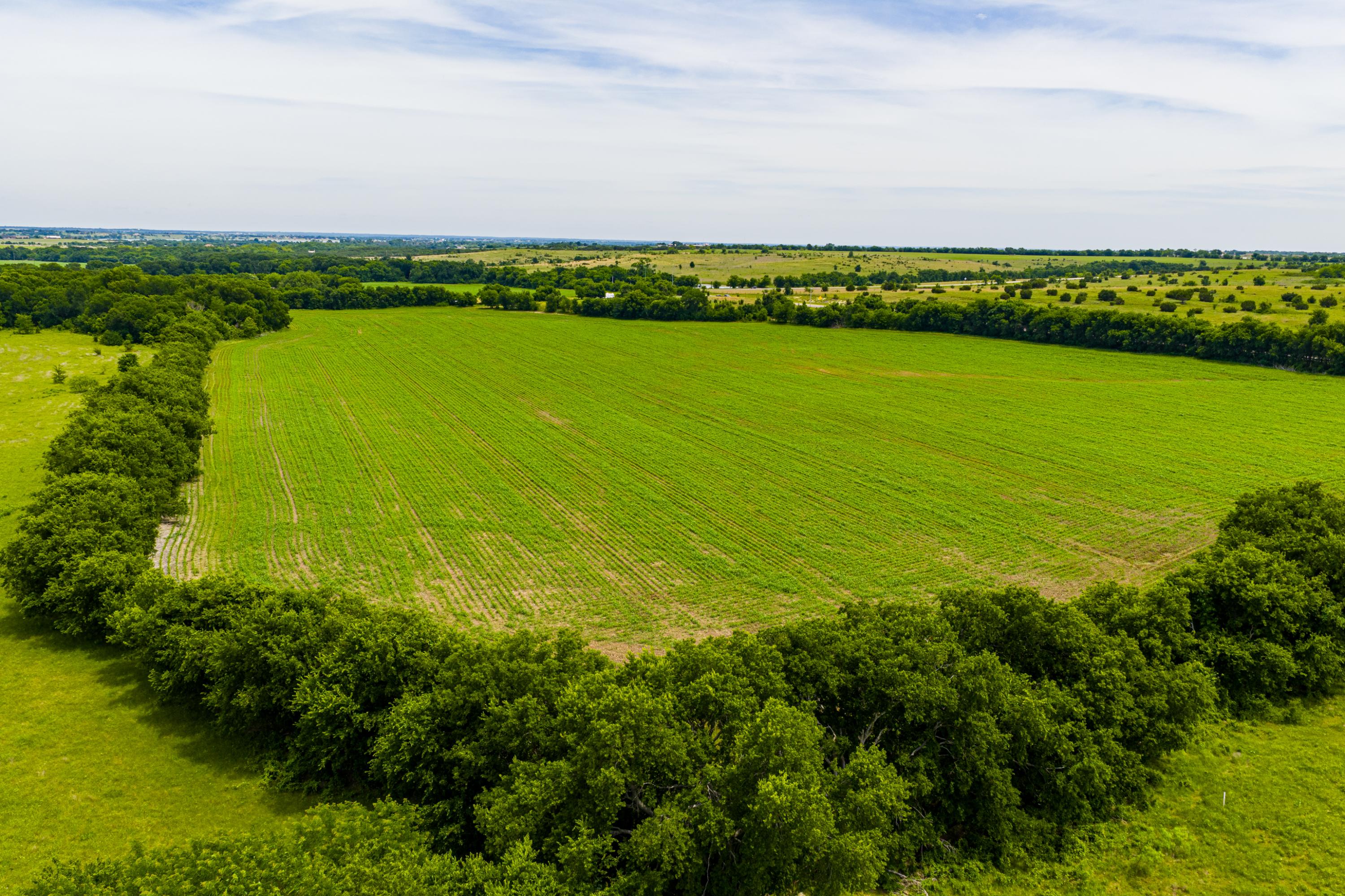  667 Acre Development Property With Two Miles Of Highway Frontage - 物件實景