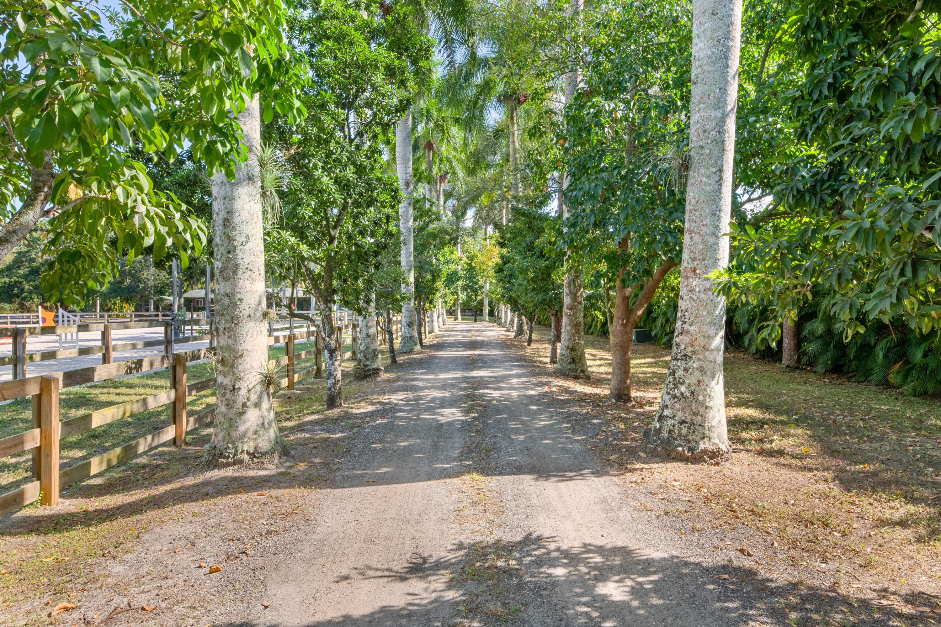 1068 D Road - 物件實景