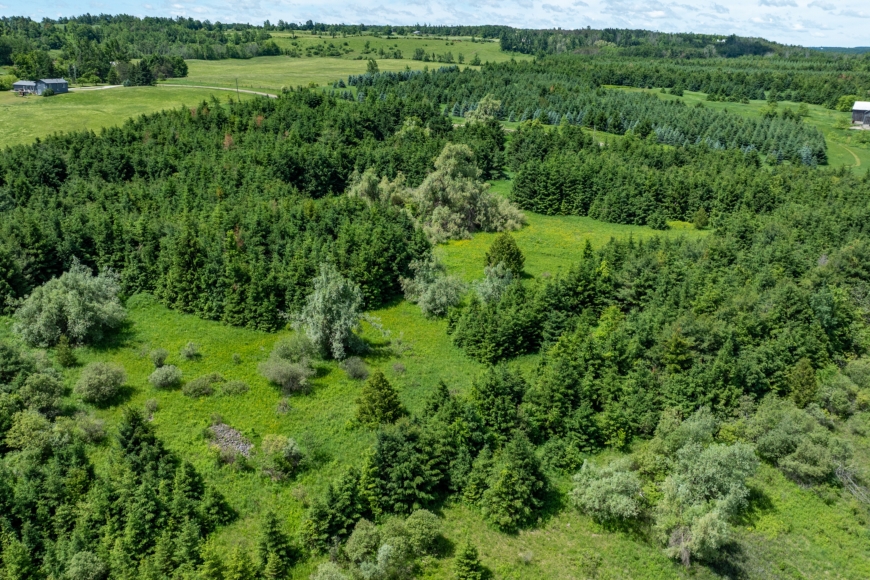  50 acre parcel in Mulmur ON - 物件實景