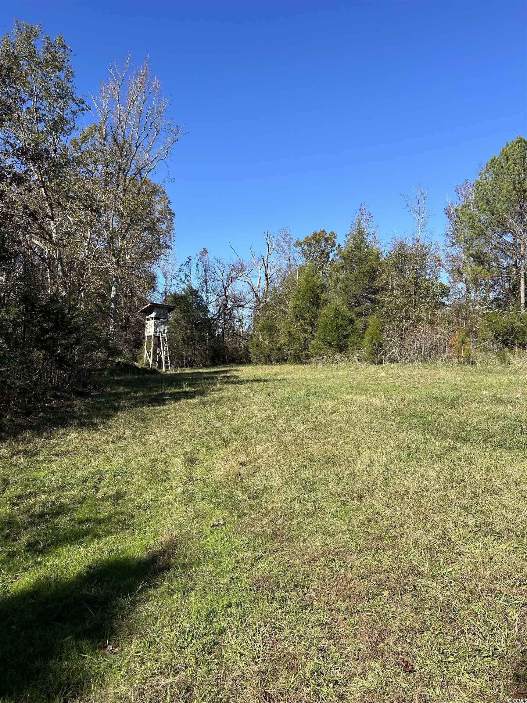  TBD River Fork Rd - 物件實景