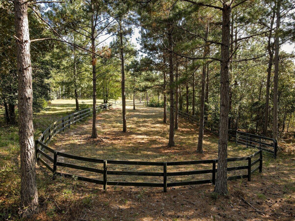 Wagener, South Carolina, 29164, United States, ,Land,For Sale,1969040