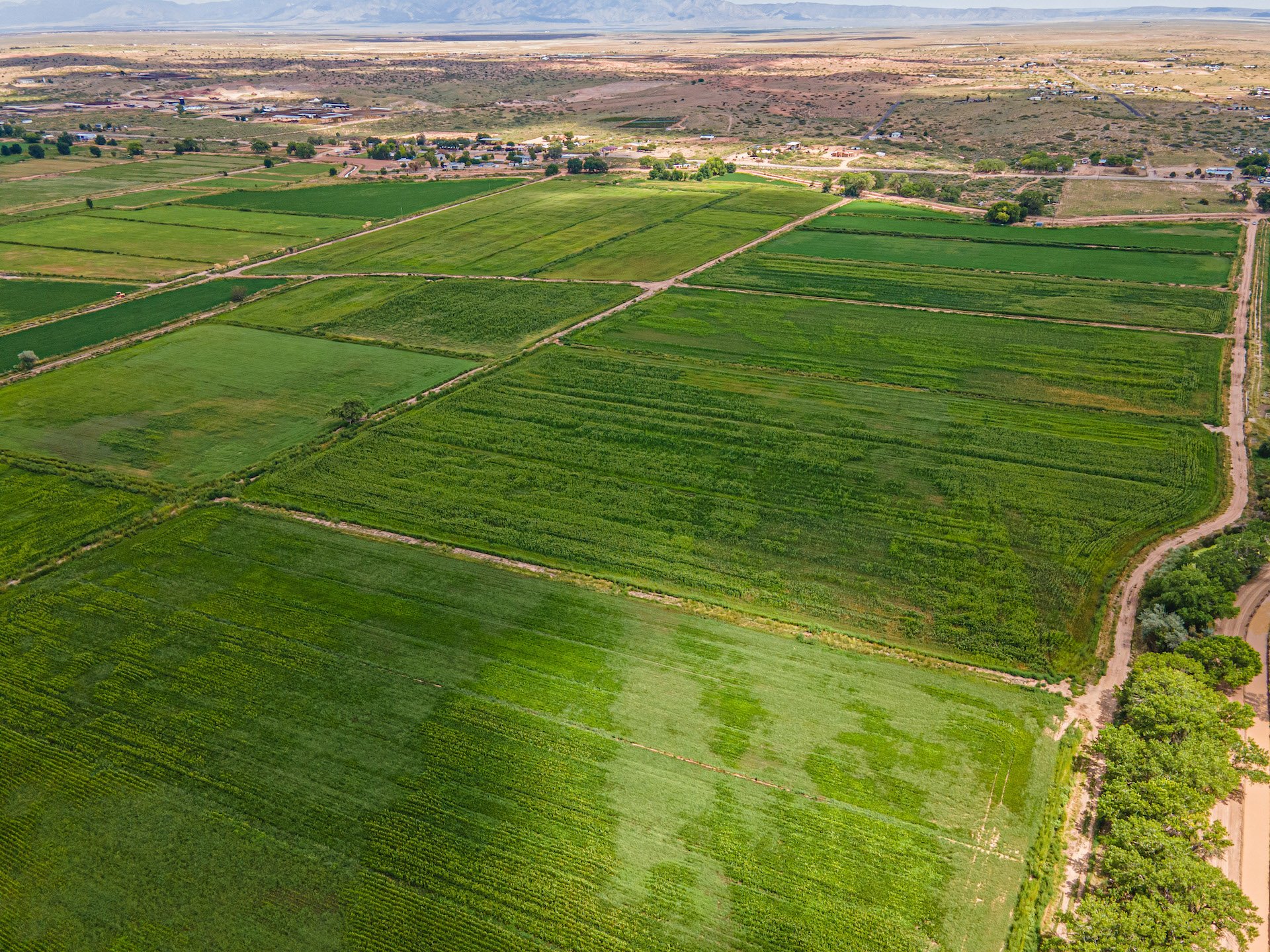 Highway 304, Veguita, New Mexico, 87062, United States, ,Residential,For Sale,Highway 304,1601720