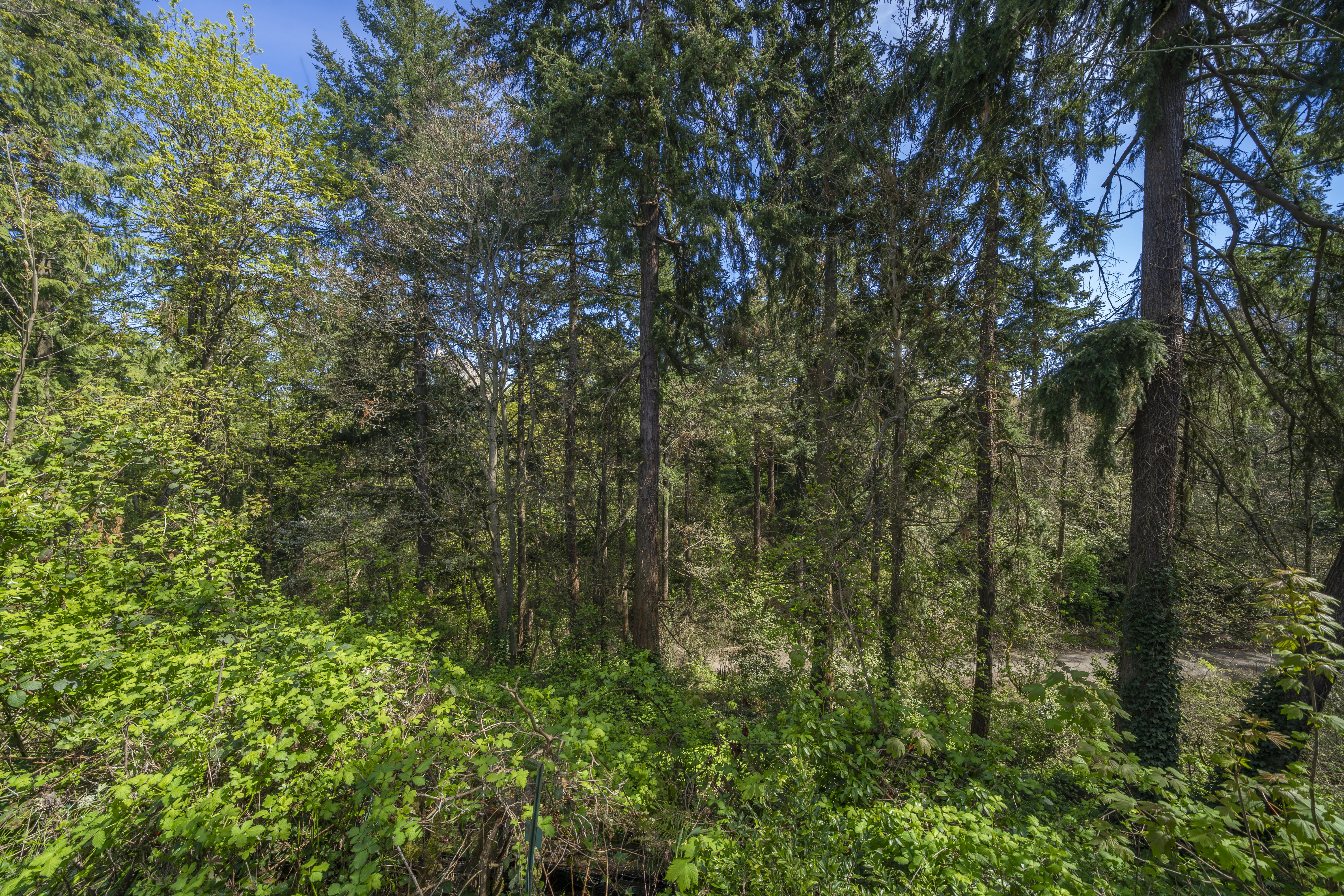 ObjectPhoto38