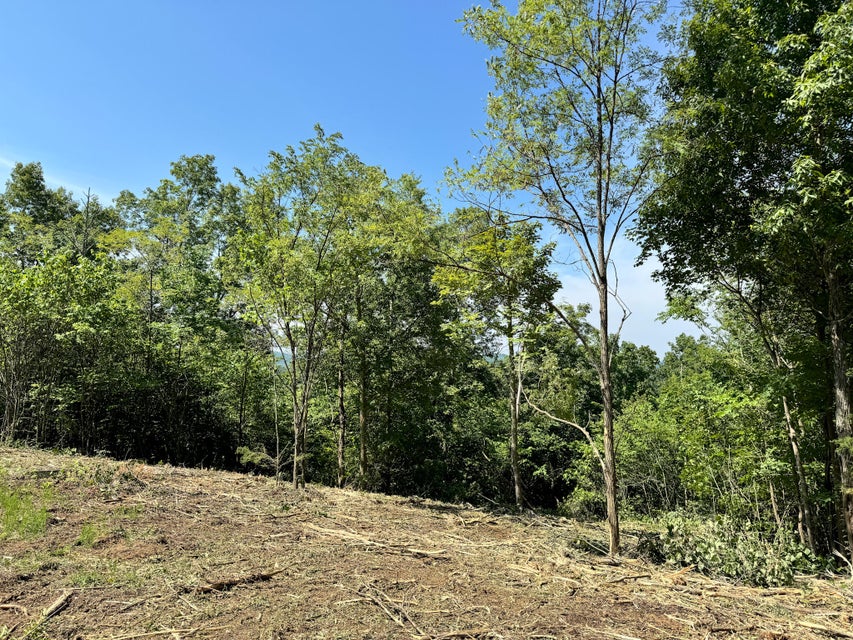 Somerset, Kentucky, 42501, United States, ,Residential,For Sale,1923151