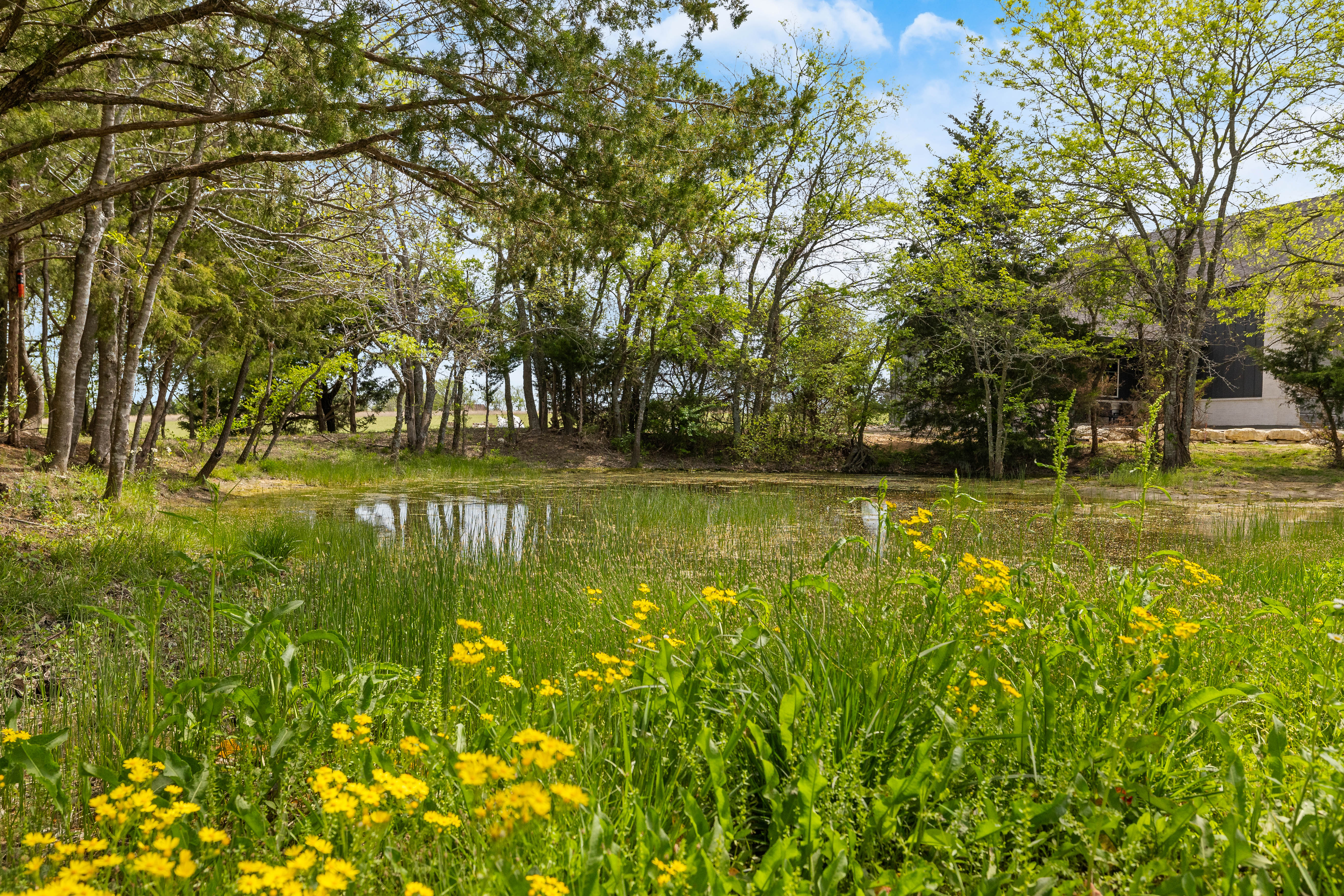  313 Ryker Lane, Gunter, TX, 75058 - 物件實景